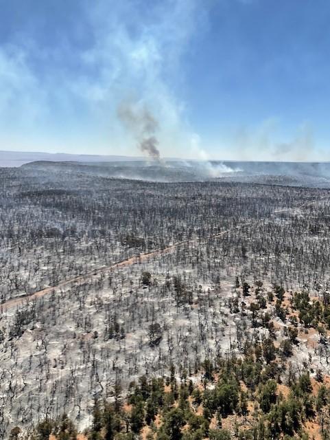 The Kane Fire as seen from a low circling Forest Service aircraft with two distinct columns of smoke rising in the background and an ashen burned landscape in the foreground.