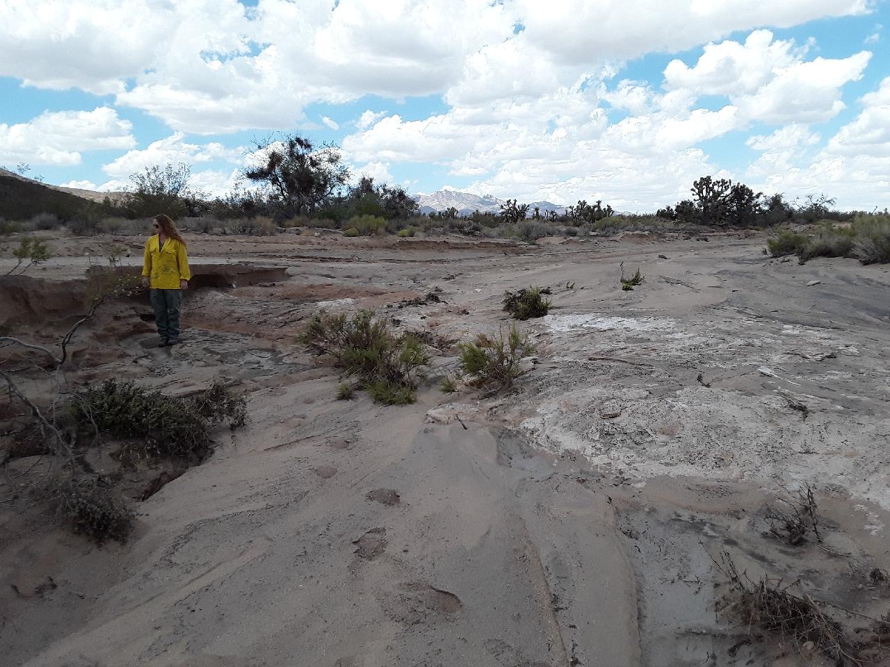A BLM scientist stands in a washed out desert road in the York Fire area on 8/14/23