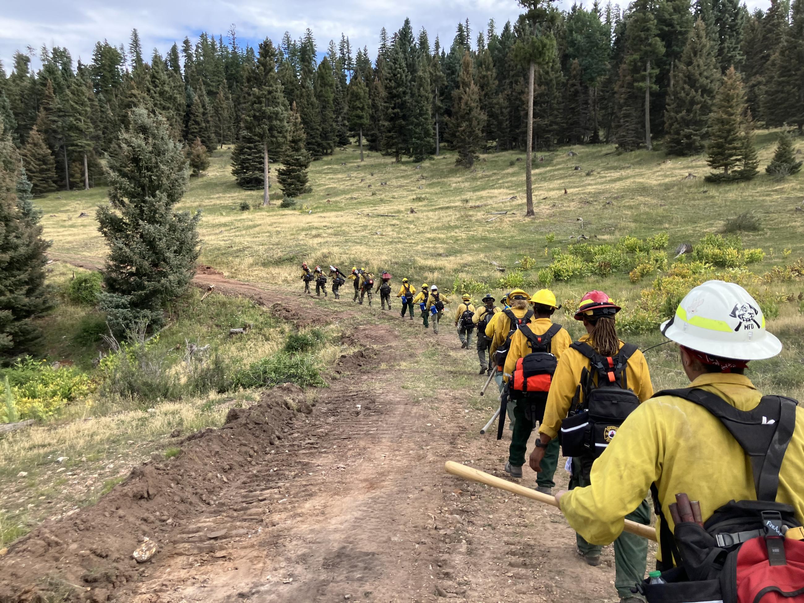 Image is a photo of a fire crew heading into the field for work. They are caring hand tools and wearing hardhats, yellow and greens, and gear walking down a long dirt road. 