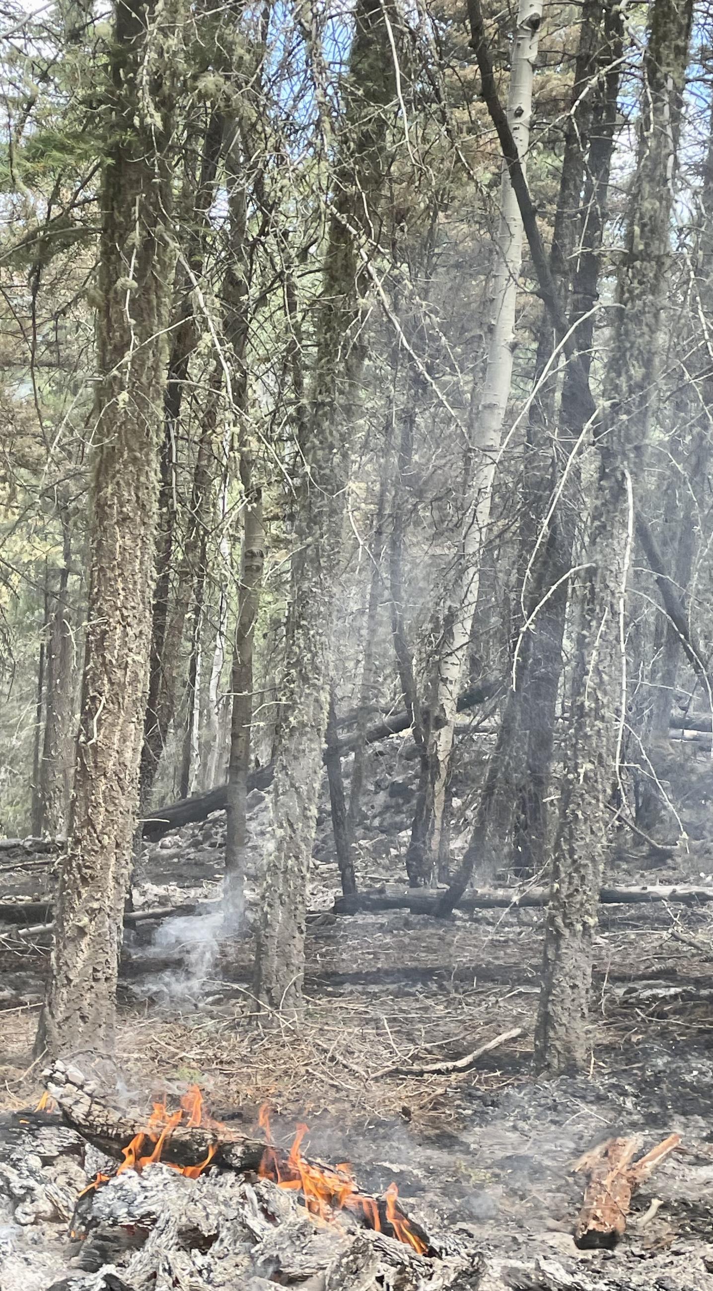 McKinney Fire Smoldering Ash