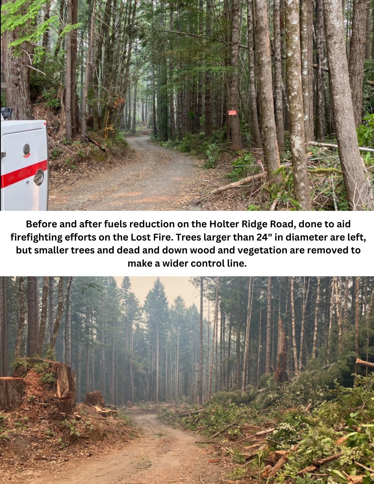 before and after a forest fire