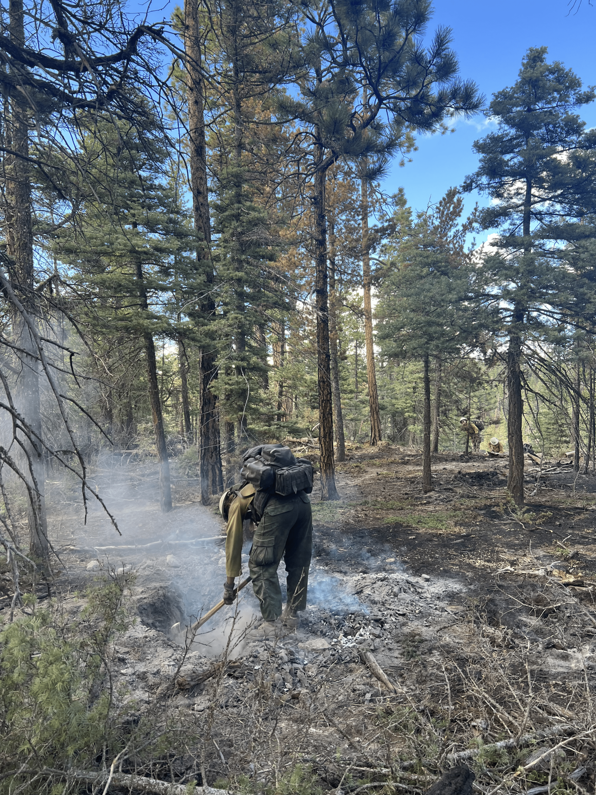 Photo showing firefighter working in ash