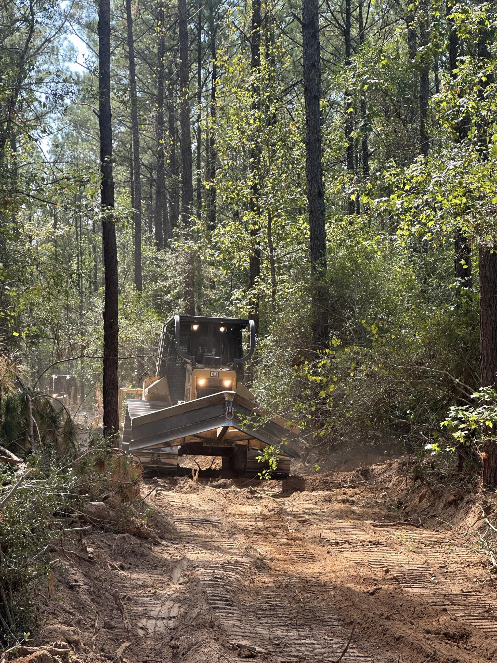 A dozer removes vegetation down to mineral soil to create fireline 