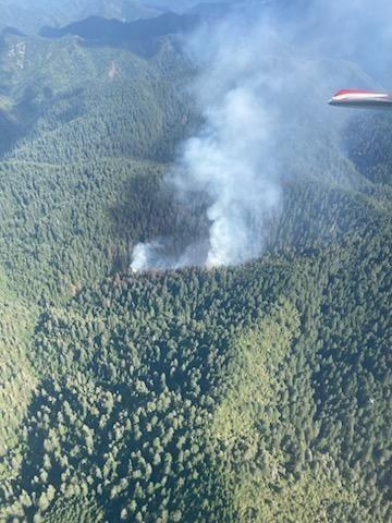 Smoke rises from a patch of wilderness, as seen from an aircraft flying over head