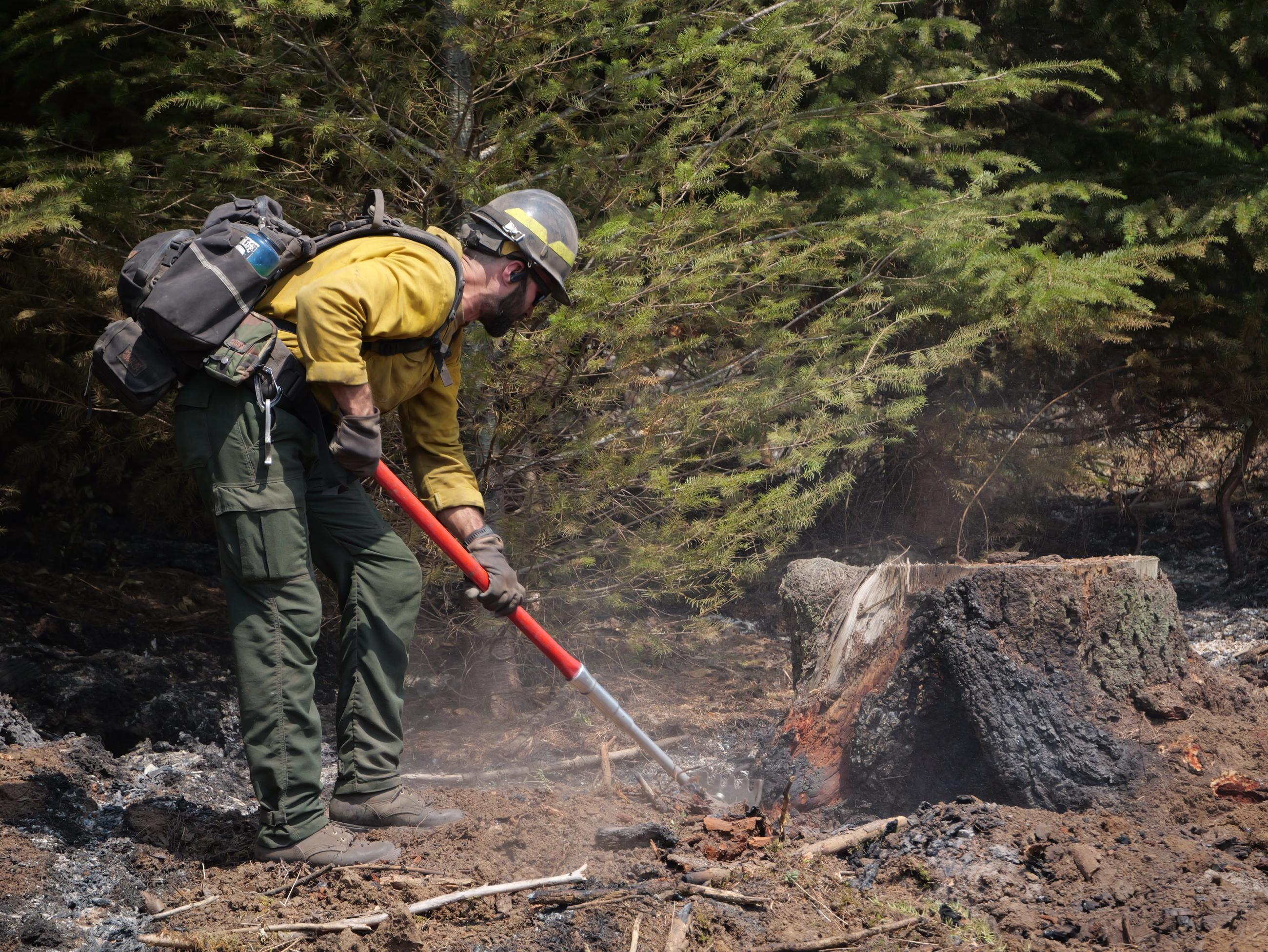 A firefighter is shown digging near a stump during the Bedrock Fire, 2023.