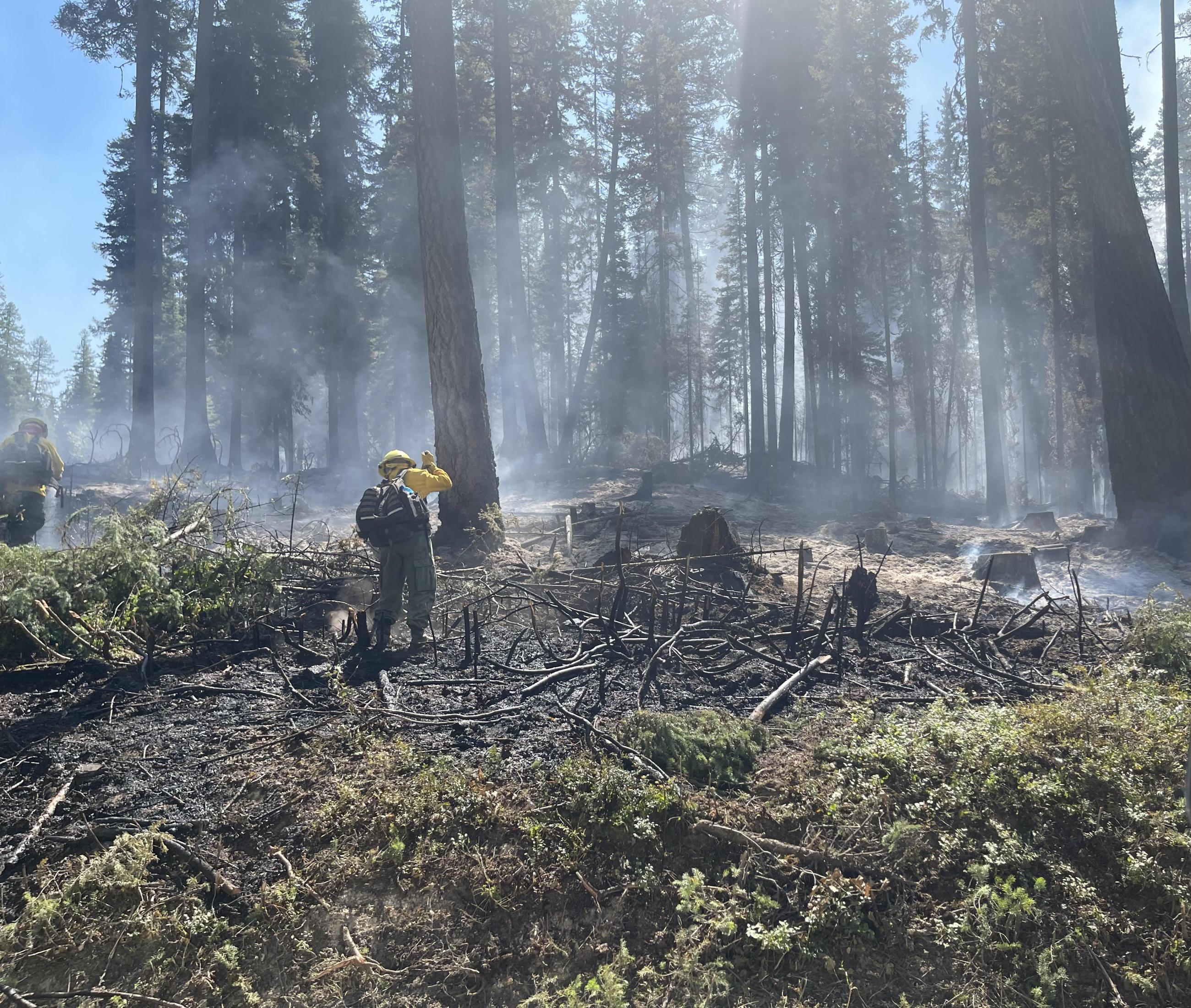 East Fork Fire Lone Firefighter working on hotspots with tool