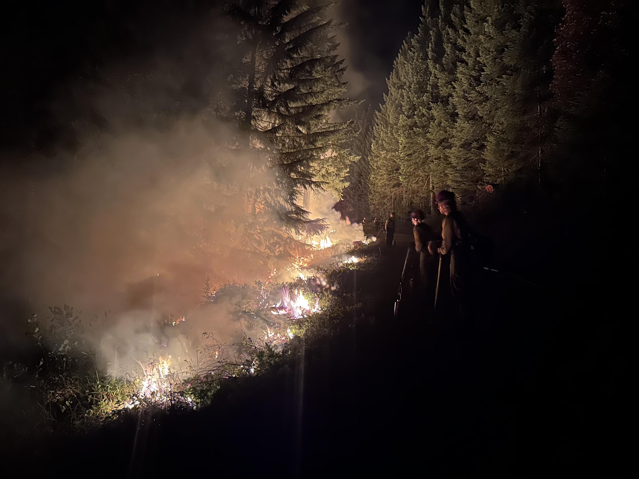 Firefighters conducting a tactical firing operation at night. They are watching for any spot fires across the fire line.