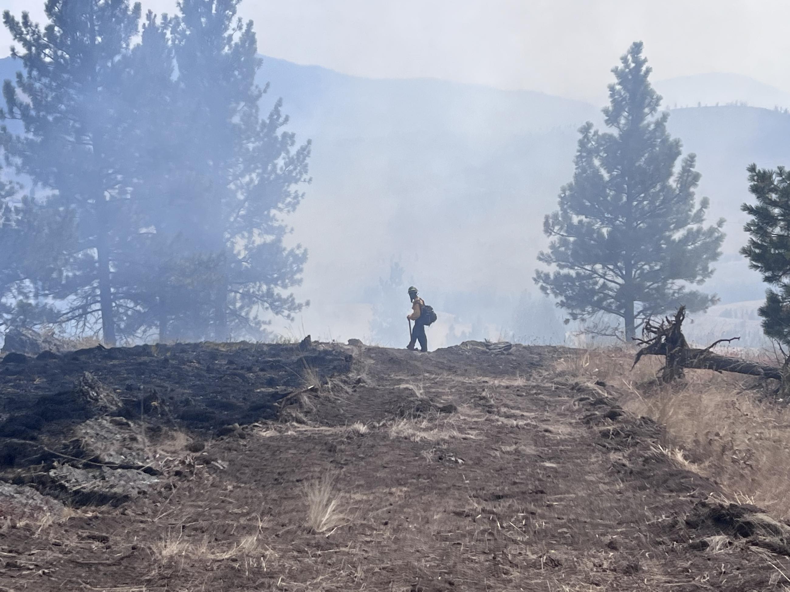 FF on Dozer Line in the Smoke 2