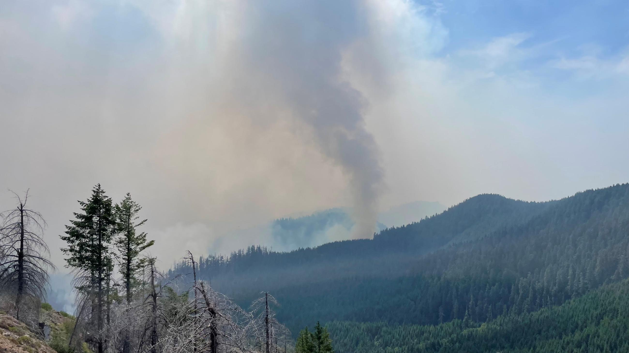 Smoke column looking from the area of Pernot Mt.