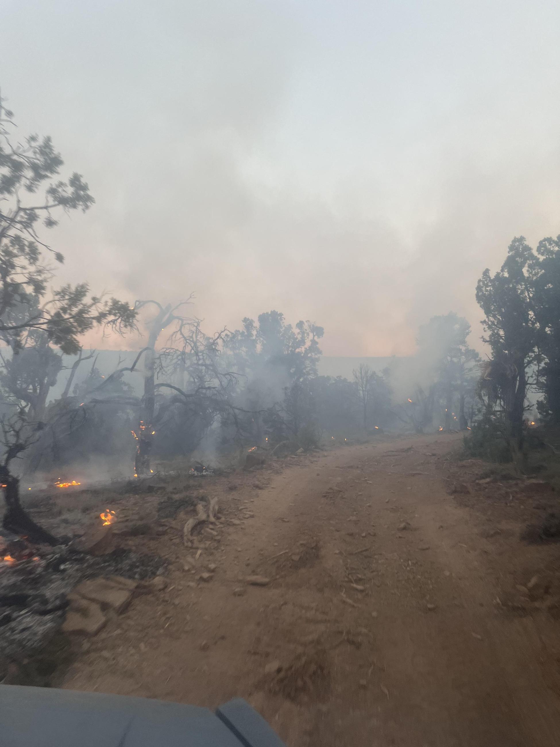 This is a photo of an unpaved roadway bound by scorched trees and smoke on the Little Mesa Fire taken on August 7th, 2023 