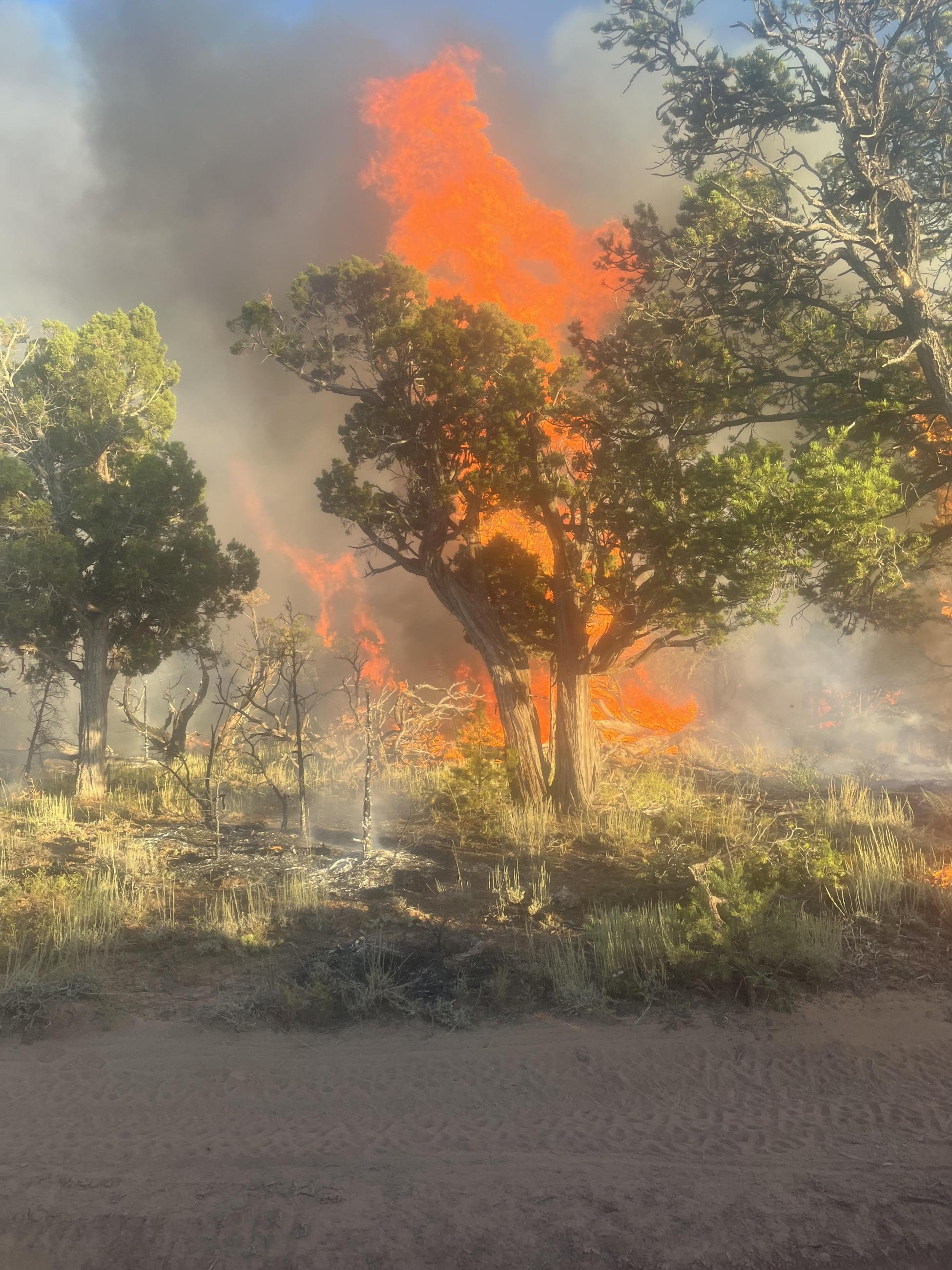 This is a photo of active fire, with juniper-pinyon and sagebrush vegetation in the foreground, taken on the Little Mesa fire on August 7th 2023.