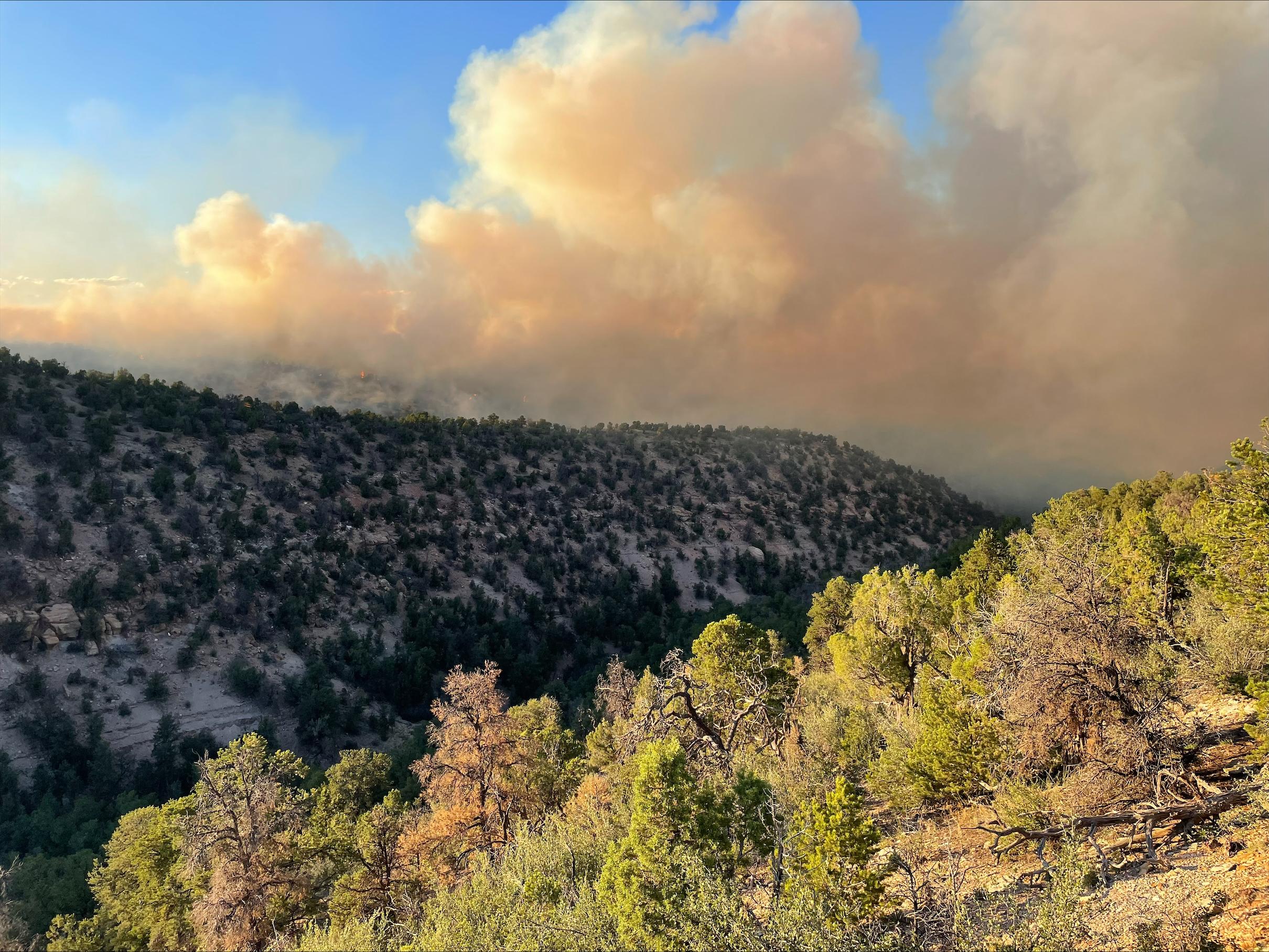 The image shows a landscape with hilly terrain covered with juniper trees in the foreground and dense smoke with bits of flame in the background.