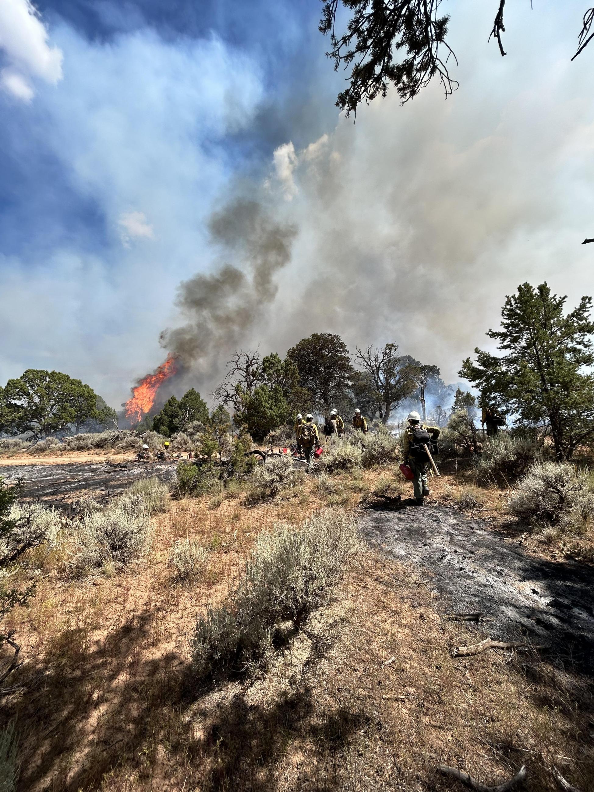 This is a photo of fire crews conducting hand ignitions to strengthen the fire line east of Dry Mesa Rd August 12th, 2023
