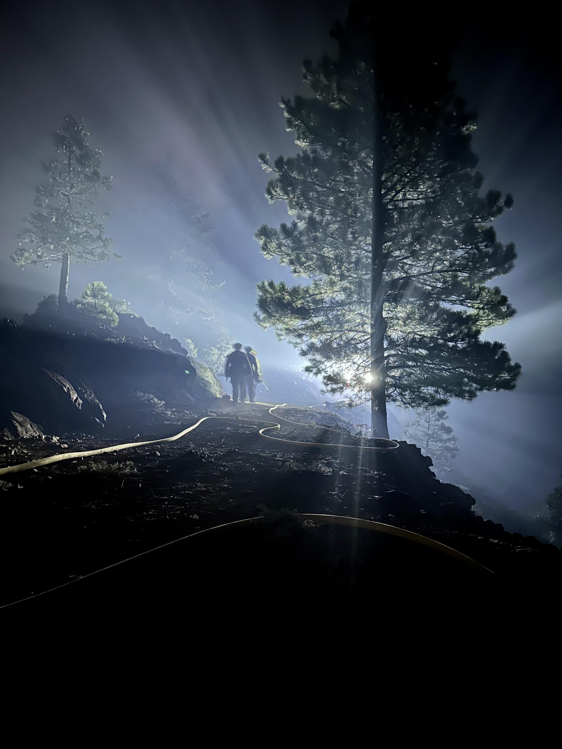 Image of firefighters laying hose at night with a big light shining behind a tree. Photo USDA Forest Service, courtesy Daniel Ramey