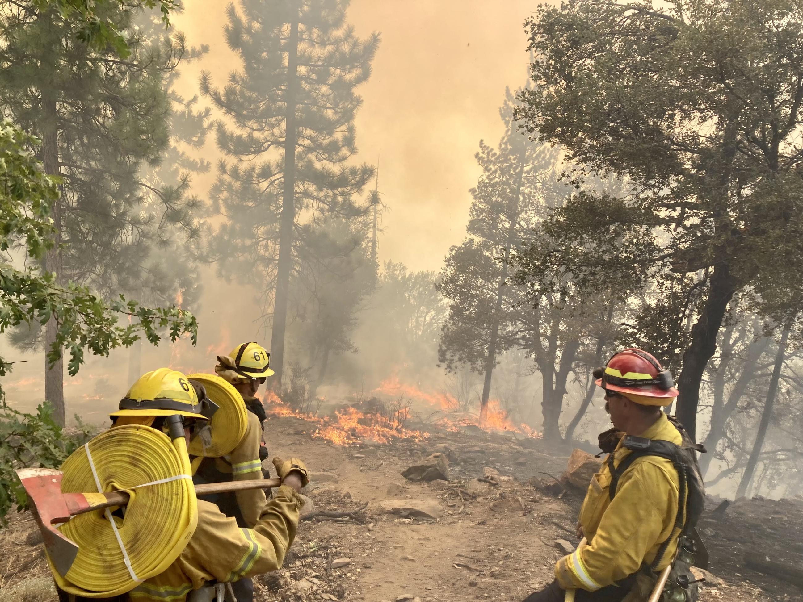 Image of firefighters carrying hose to the fire line, Elliot Fire part of the Happy Camp Complex, August 18, 2023. USDA Forest Service, courtesy Daniel Ramey