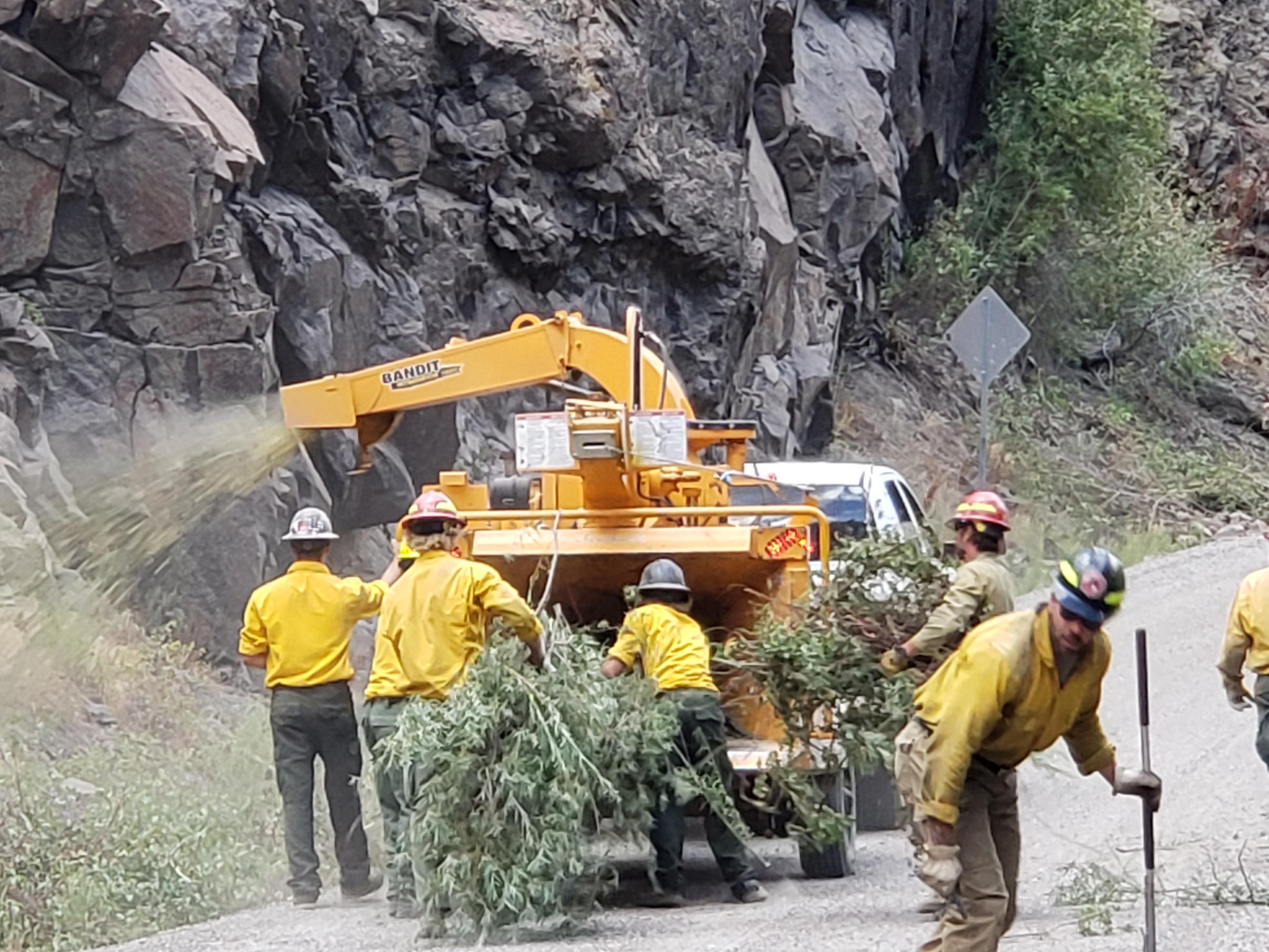 firefighters chip vegetation along a road to serve as potential fireline
