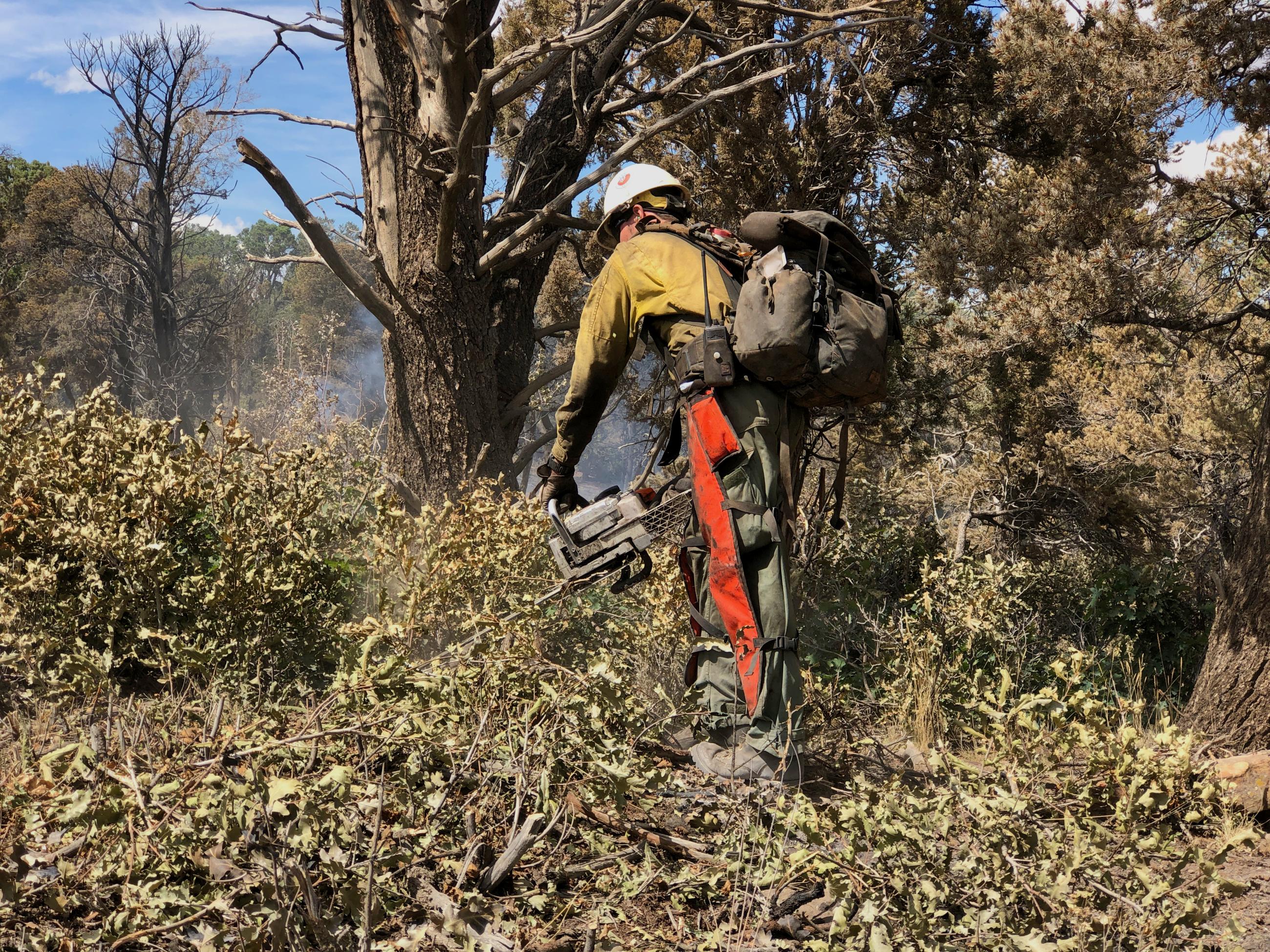 Image of firefighter cutting brush on the edge of the fire line to prevent further fire spread. 