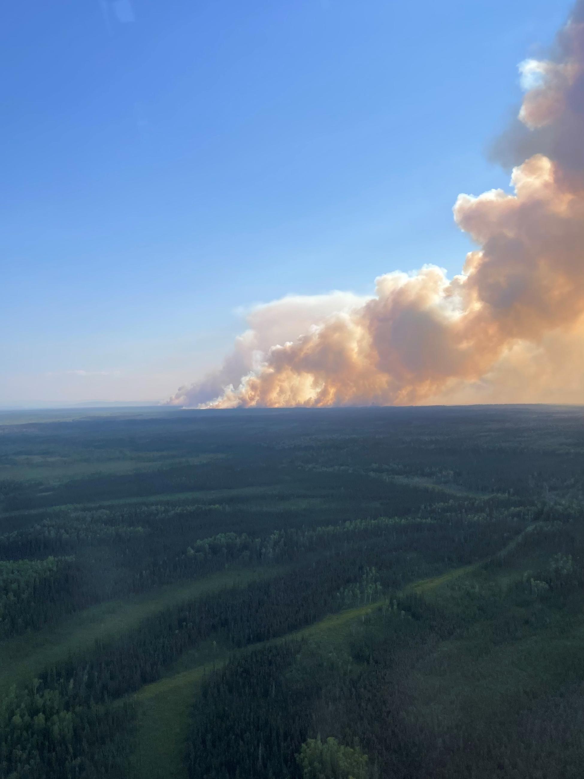 Large billowing smoke column rises to the right of the photo frame with blue skies to the left and lush green forest in the foreground. Picture shot from a far distance and an elevated vantage point.