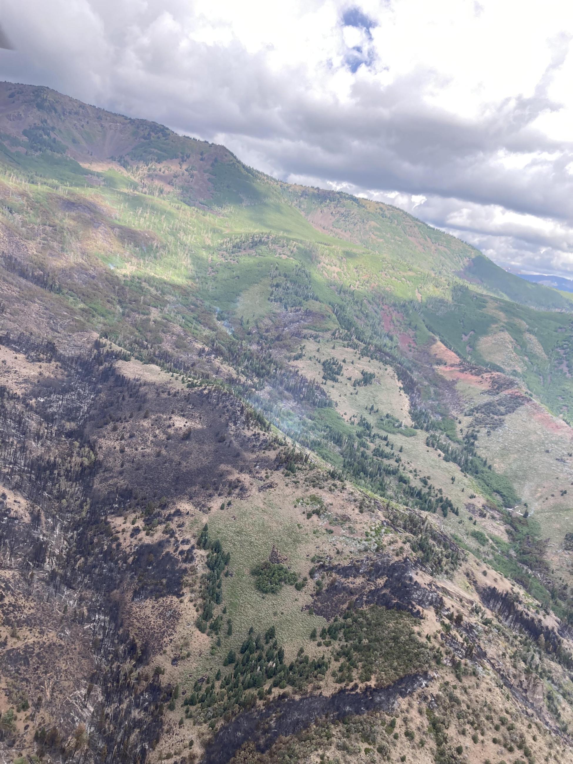 aerial view of burned grass and trees in undulating country