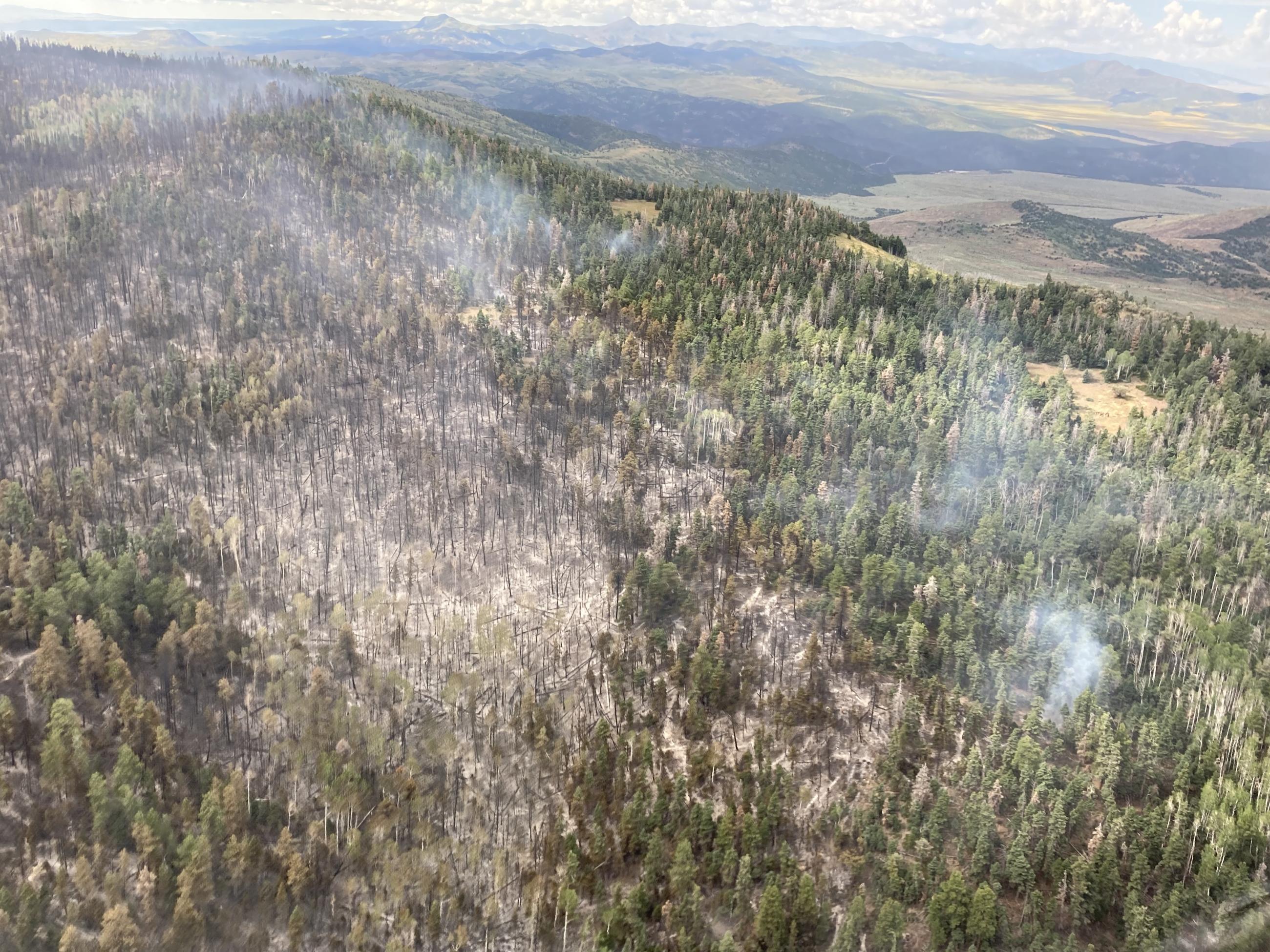 Smoldering fire behavior along ridge with trees