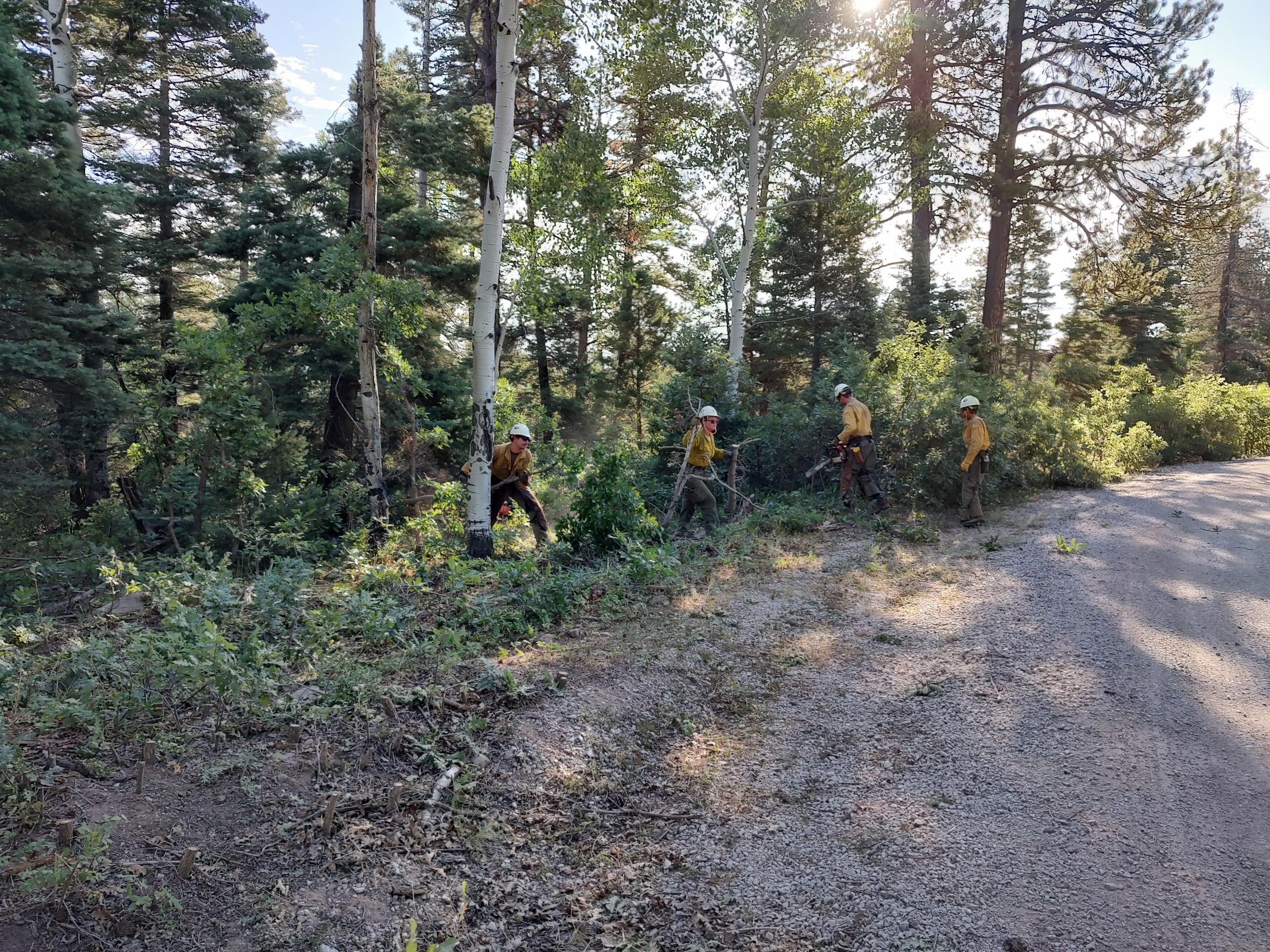 Image is of a photo showing fire crews work to remove dense fuels along key holding features like this road. 