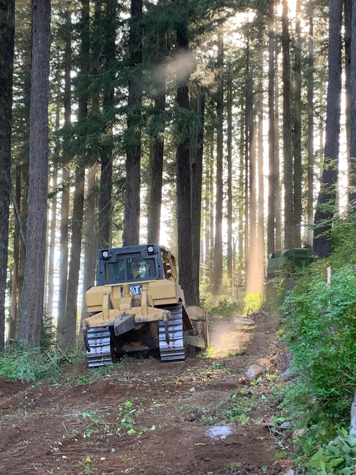 Bulldozer opening old Forest Service Road south of fire August 12th 2023