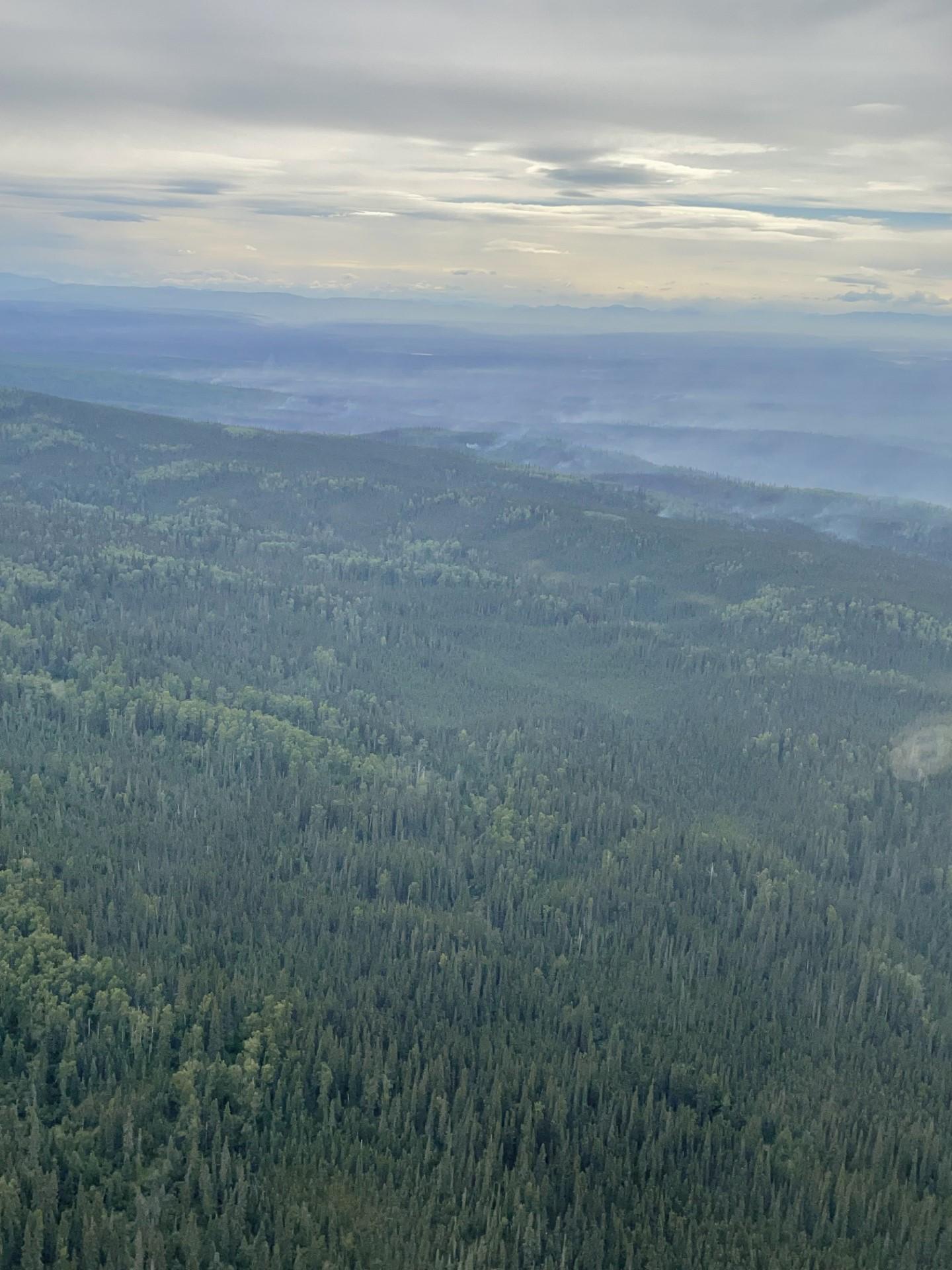 Photo is an aerial view of Alaskan landscape with green trees below.  Off in the distance is smoke rising from the wildfire below.