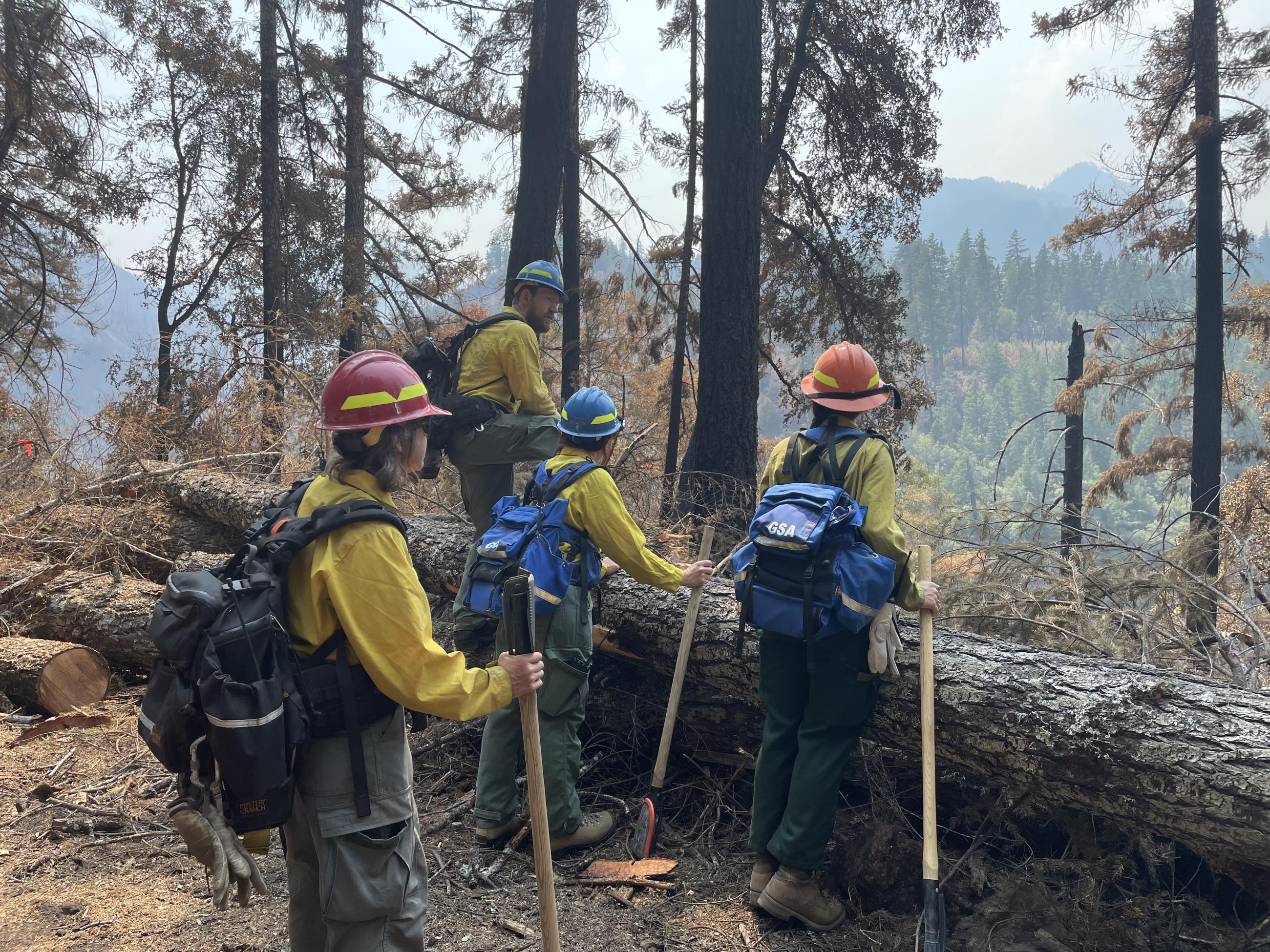 Forest Service employees overlook a burned ridge 