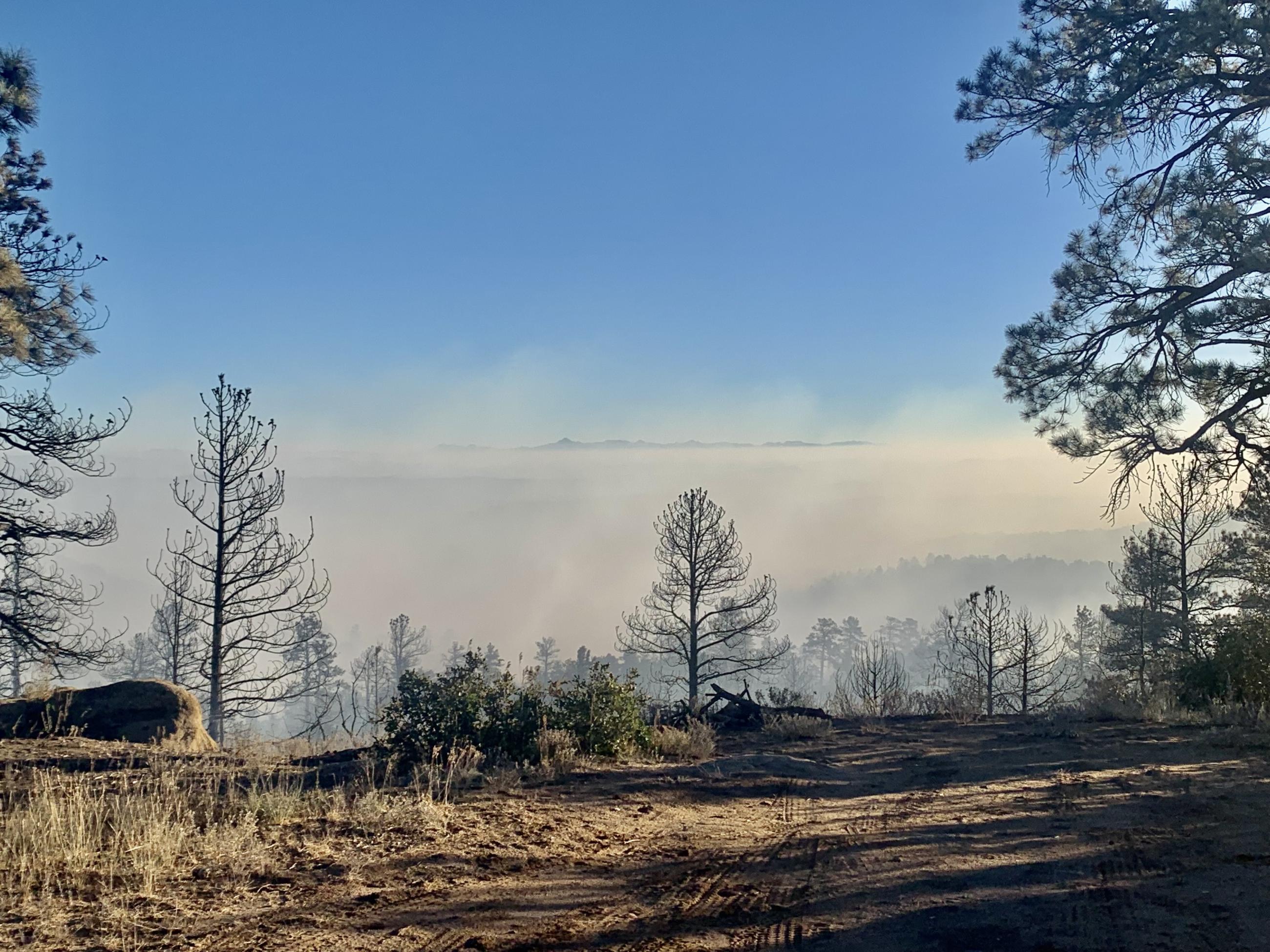 Photo displays burned vegetation off a dirt road. Smoke settles into the juniper covered mountain range