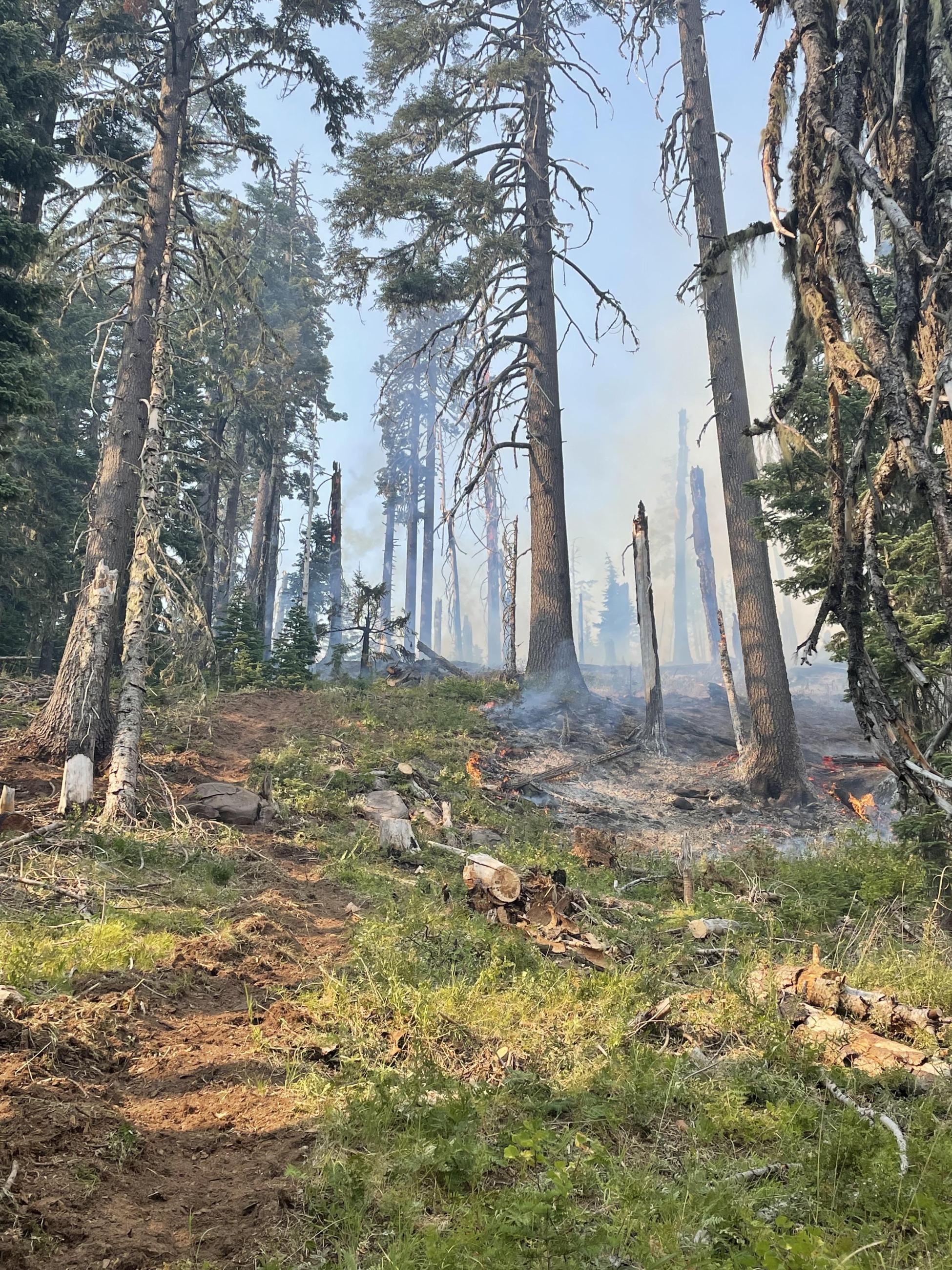 Vegetation smolders on the Ridge Fire on August 27, 2023