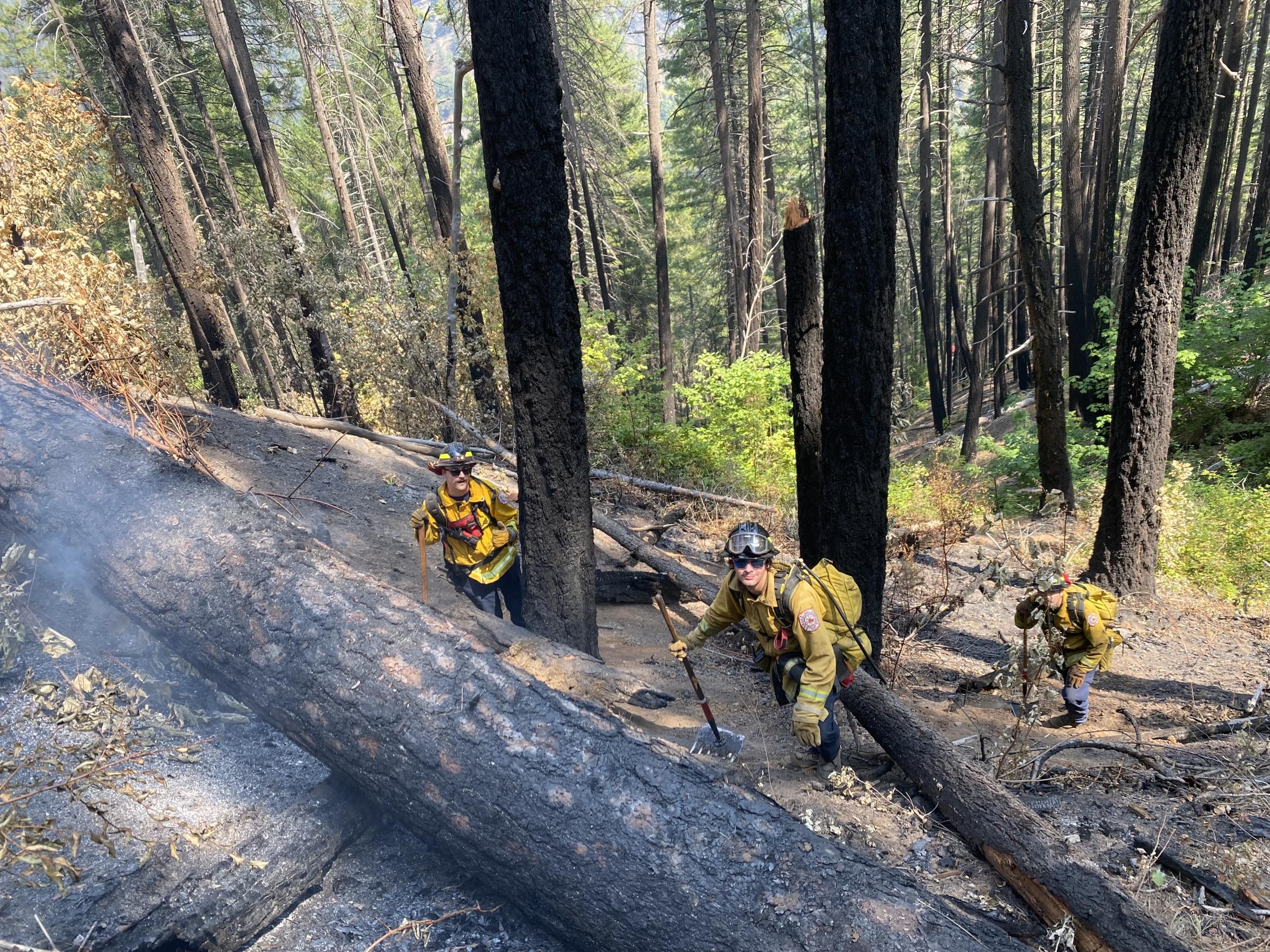 Image of firefighters working on a steep hillside with a smoldering log above them. Photo USDA Forest Service courtesy Daniel Ramey
