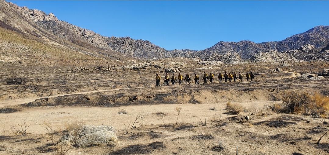 A crew from Tuolumne Rancheria Fire Department (BIA) patrols the containment line of the York Fire