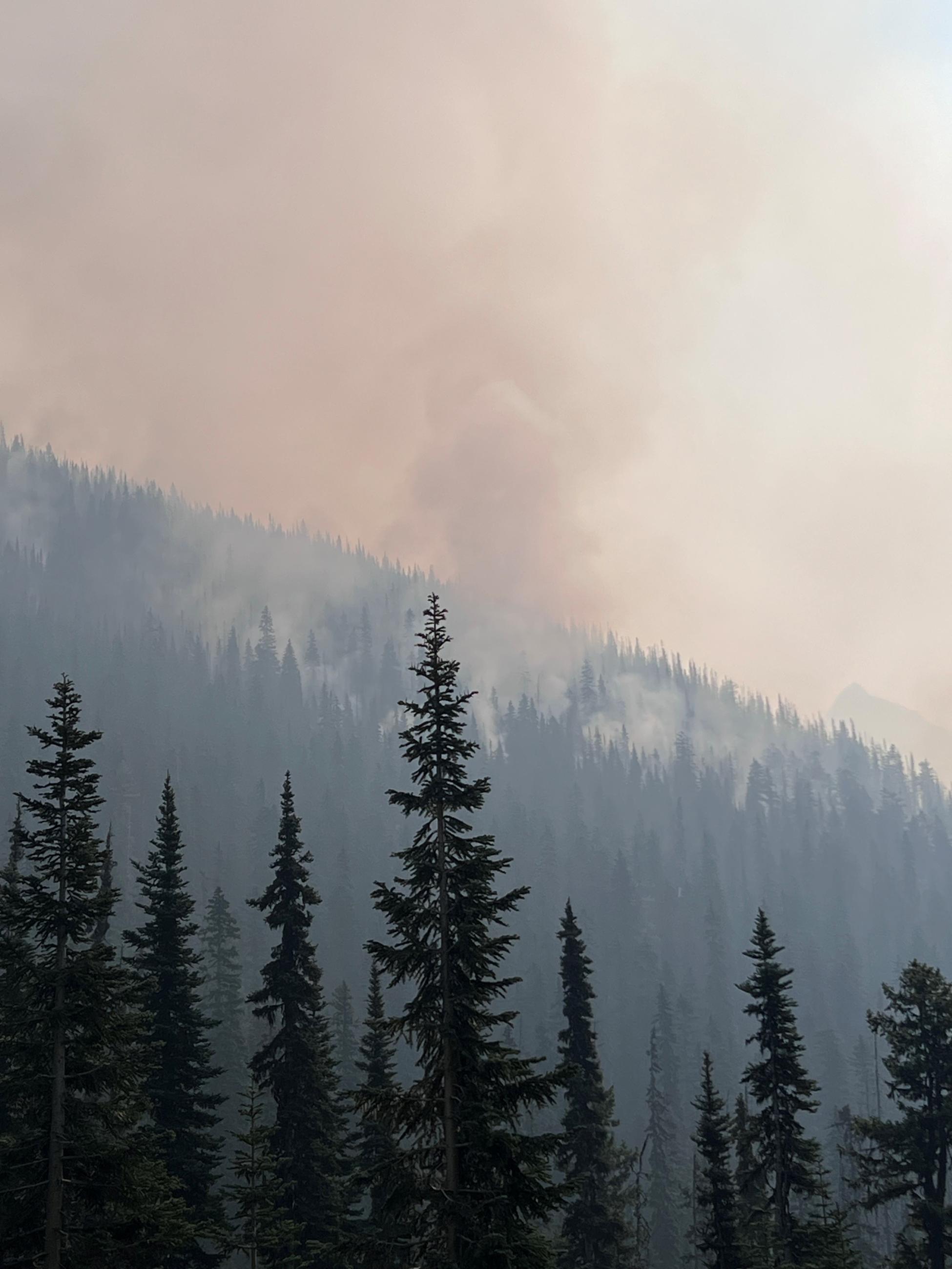 A forested mountain range with fire smoke hanging above and along the treeline