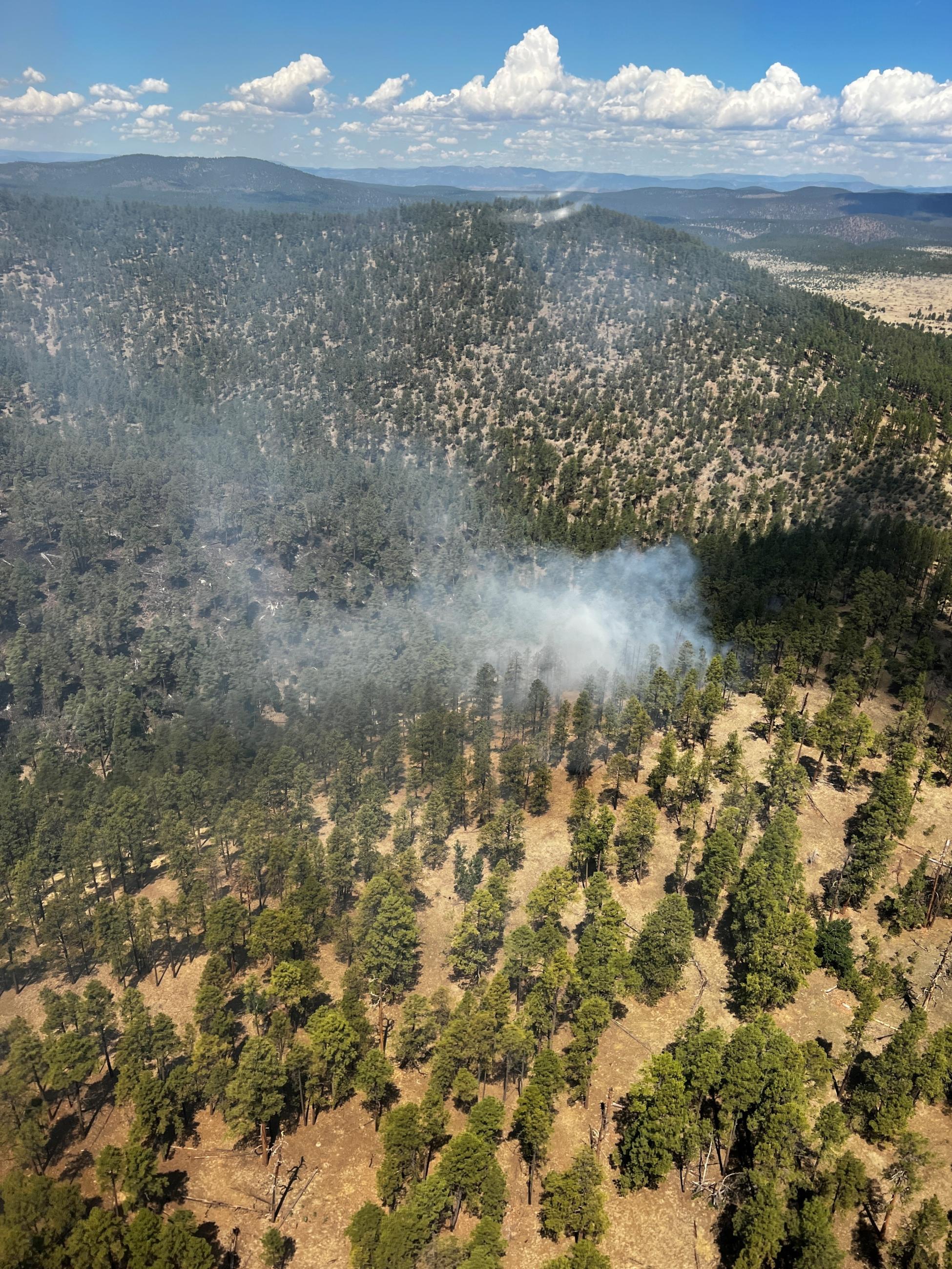 Nmgnf Dark Fire Incident Photographs Inci