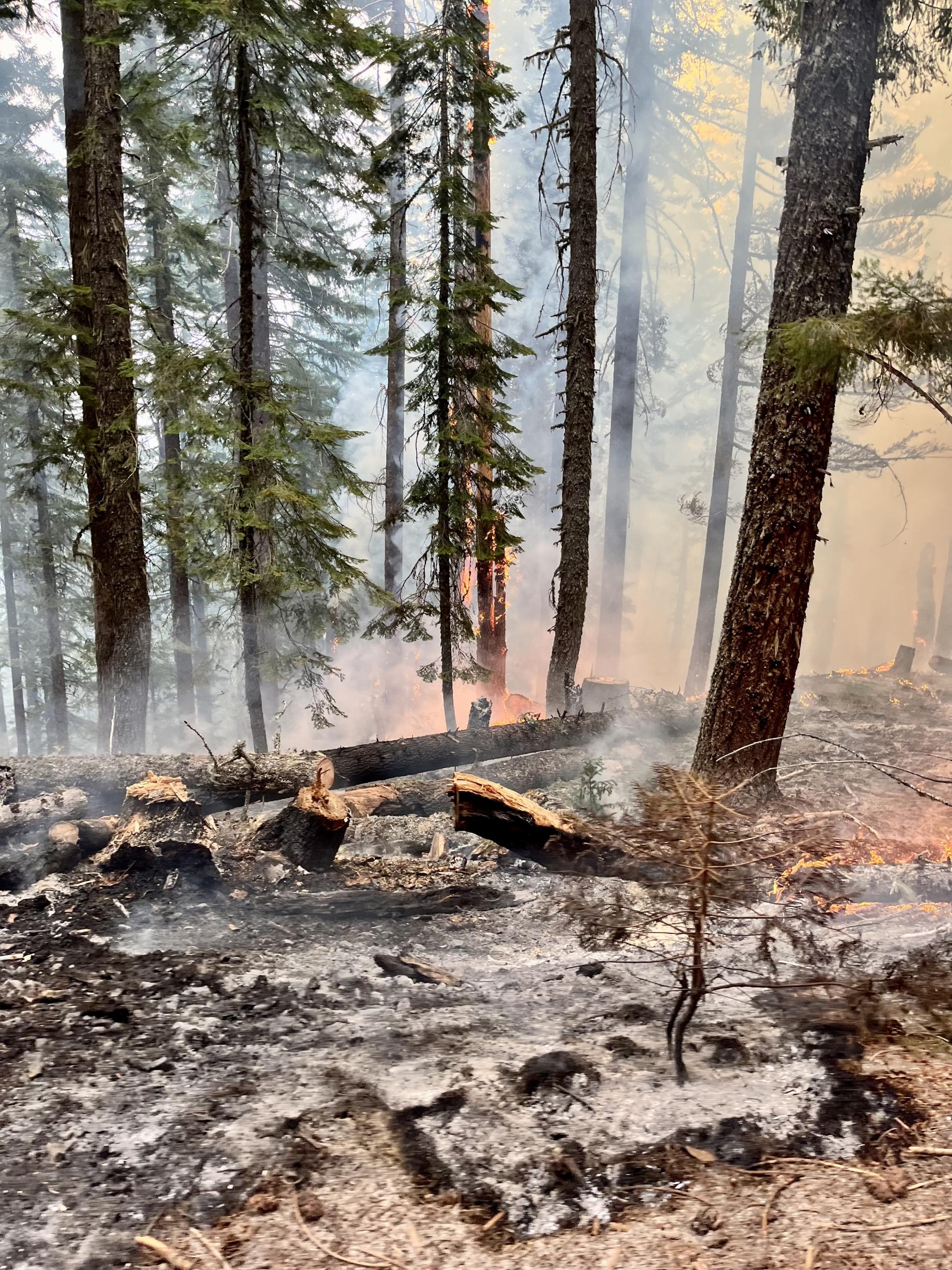 Smoke and Flames are visible in a timbered portion of the South Fork Complex