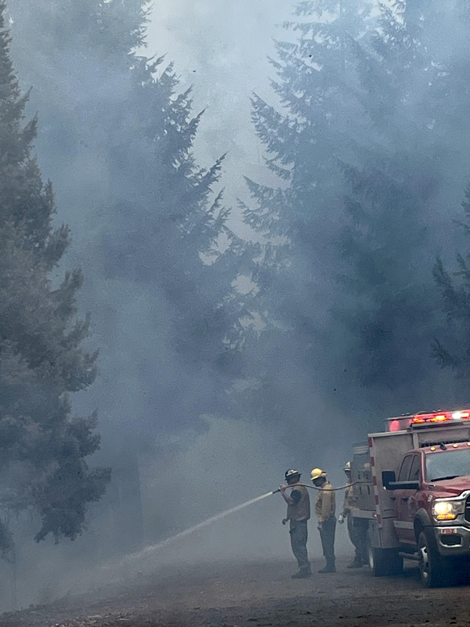 Three Firefighters spray water along the road edge as smoke filters through the trees.