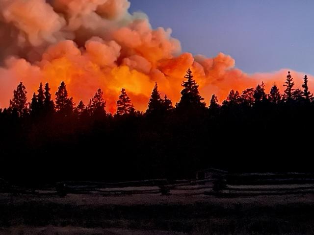 Image is of a smoke column coming off the Black Feather Fire as the sun is setting causing the smoke column to glow orange and yellow.  