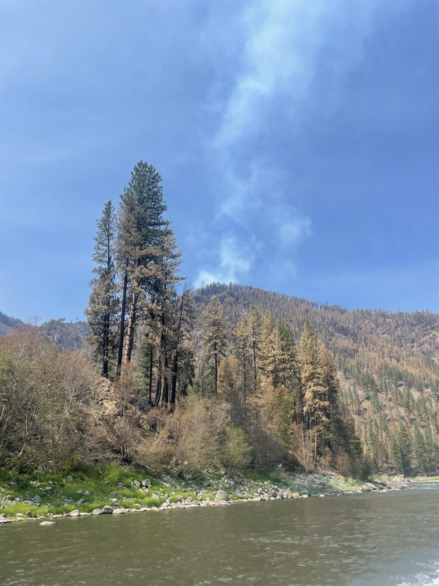 View of smoke rising above a ridge, as seen from the river