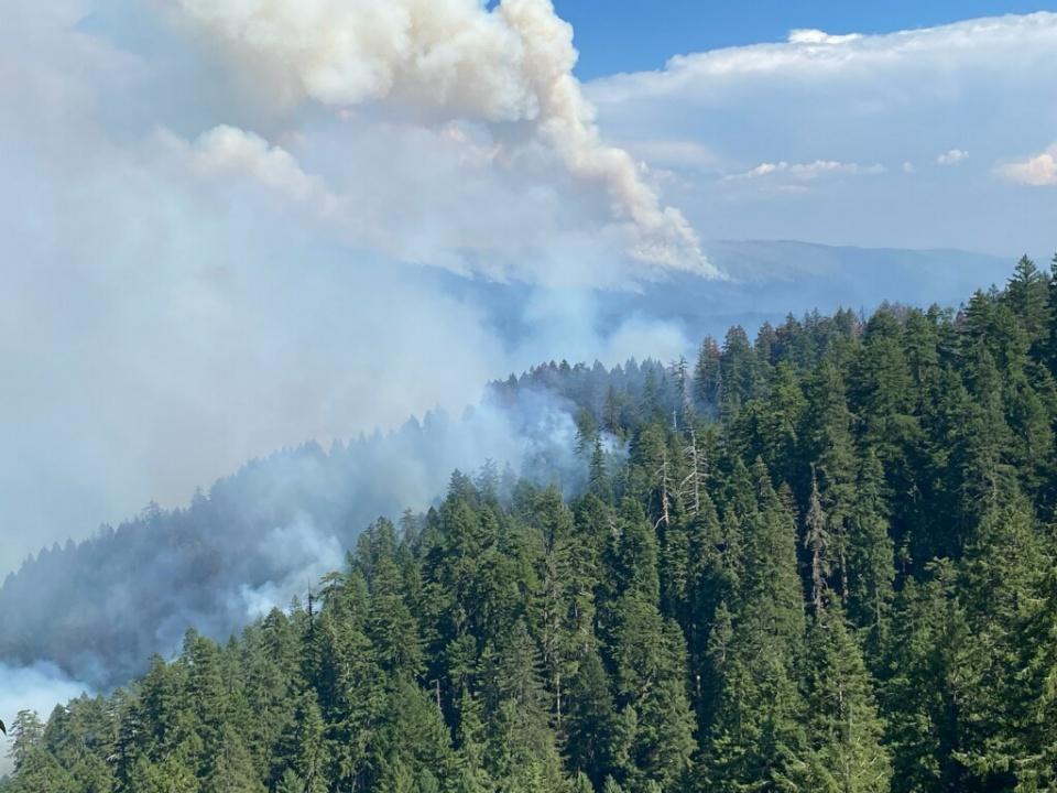 Smoke drifts through the trees.