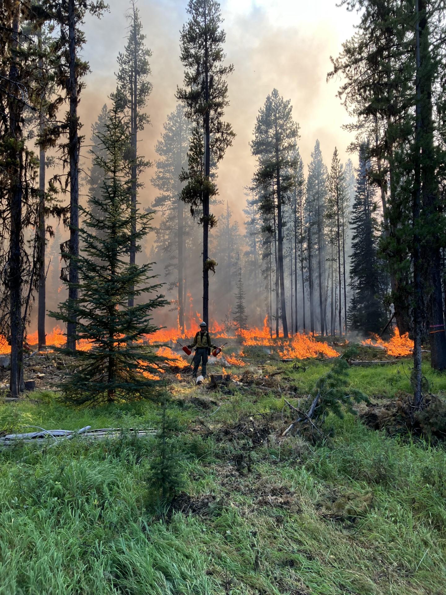 A firefighter poses for a photo after firing a contingency line.