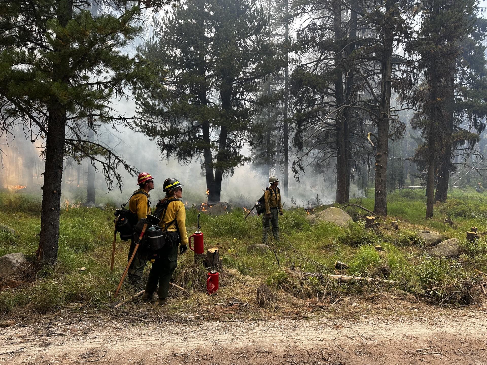 Firefighters work on the Bowles Creek Fire.