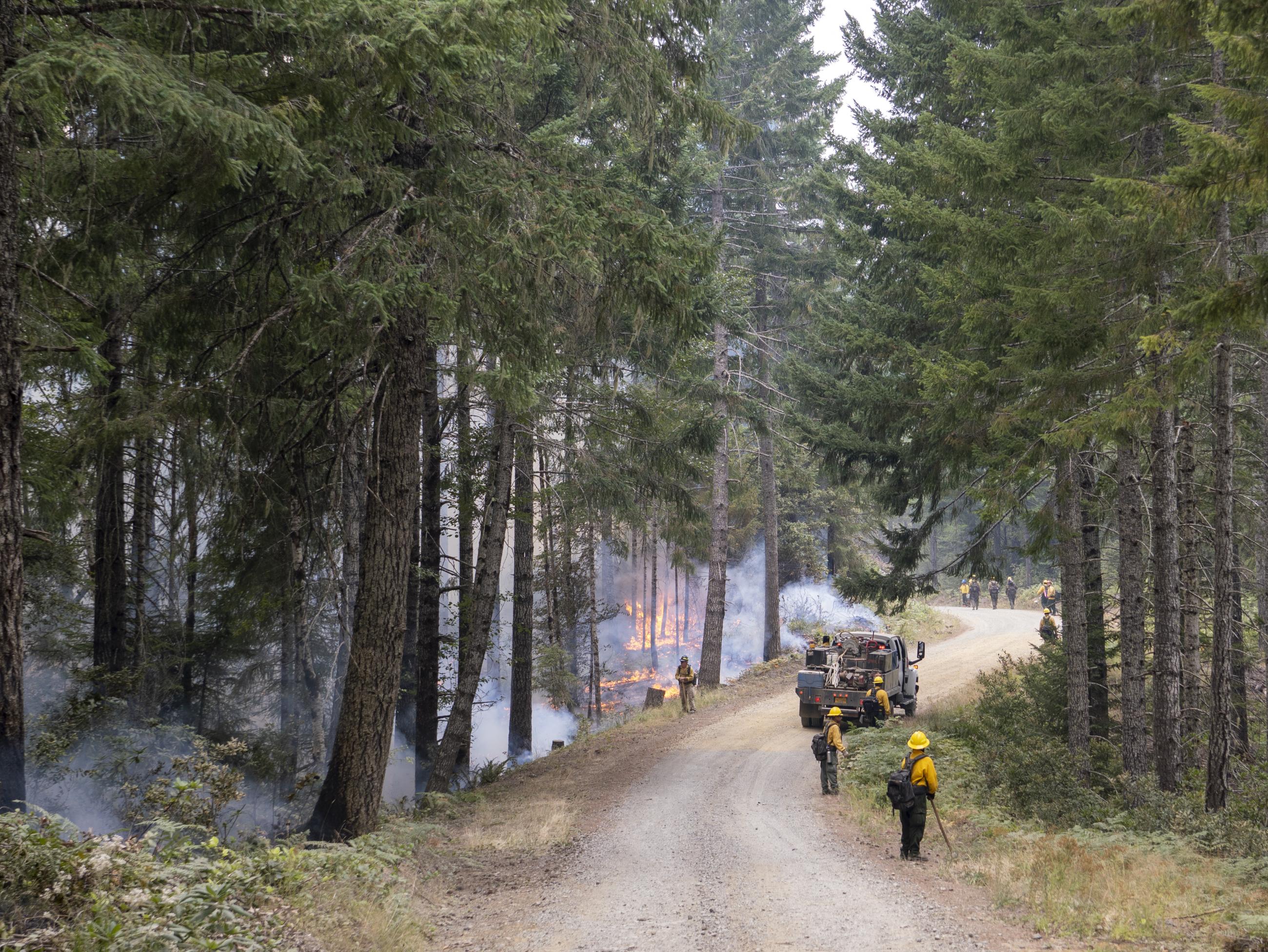 Firefighters stand by during a mop up operation along French Hill Road, August 22, 2023.