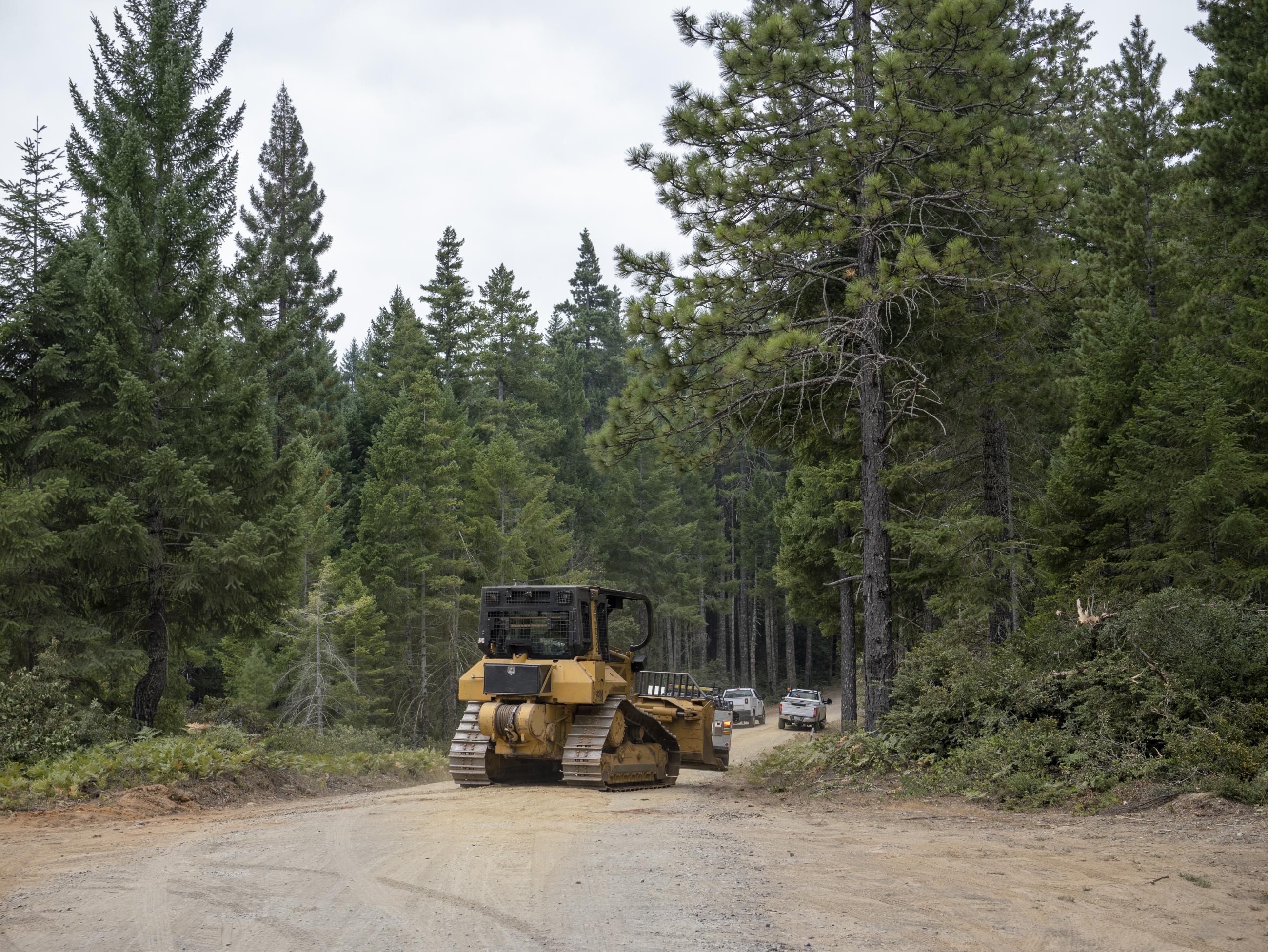 Dozer on French Hill Road, August 22, 2023