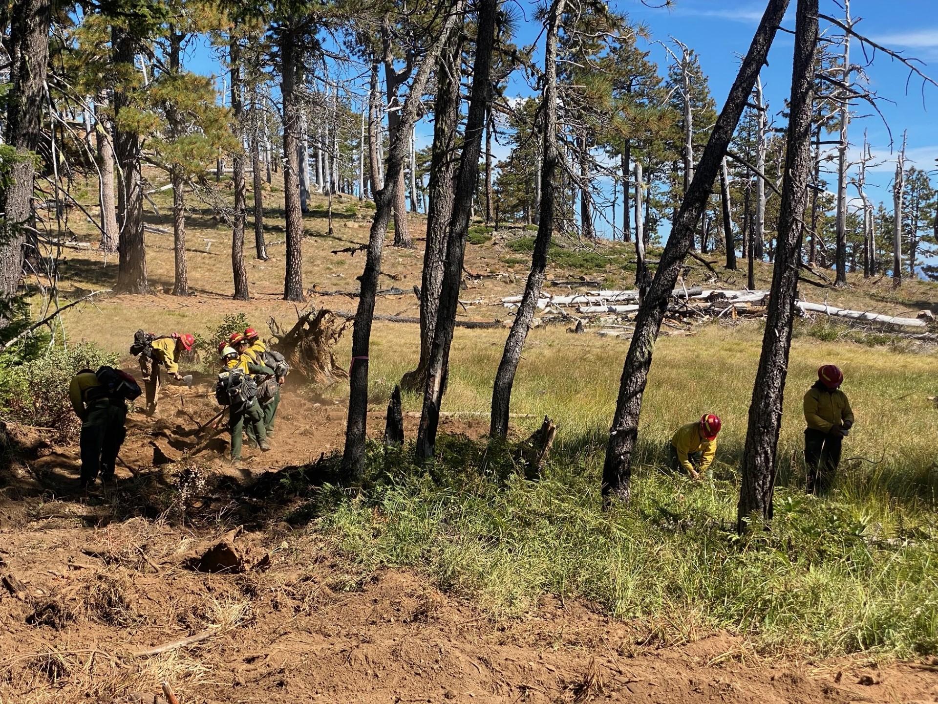 Image of fire crew and resource advisors working to rehabilitate secondary containment lines.