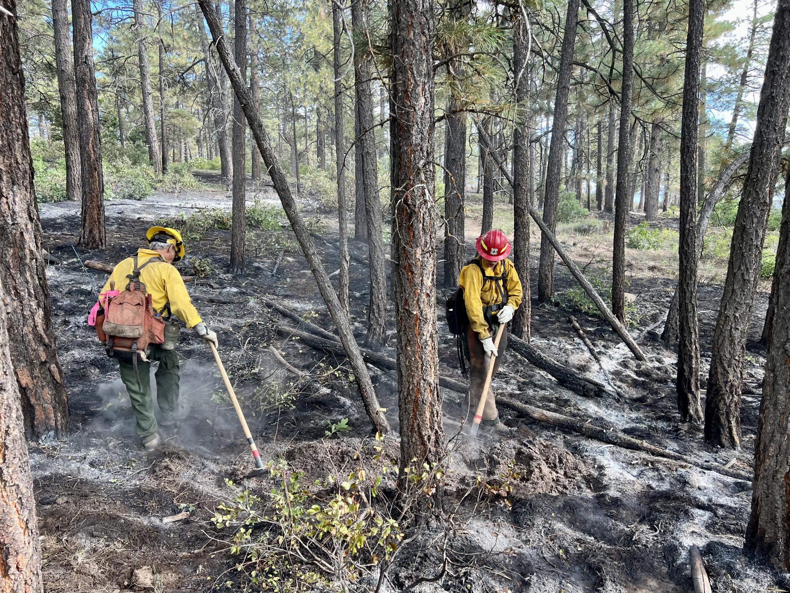 Firefighters mop-up 