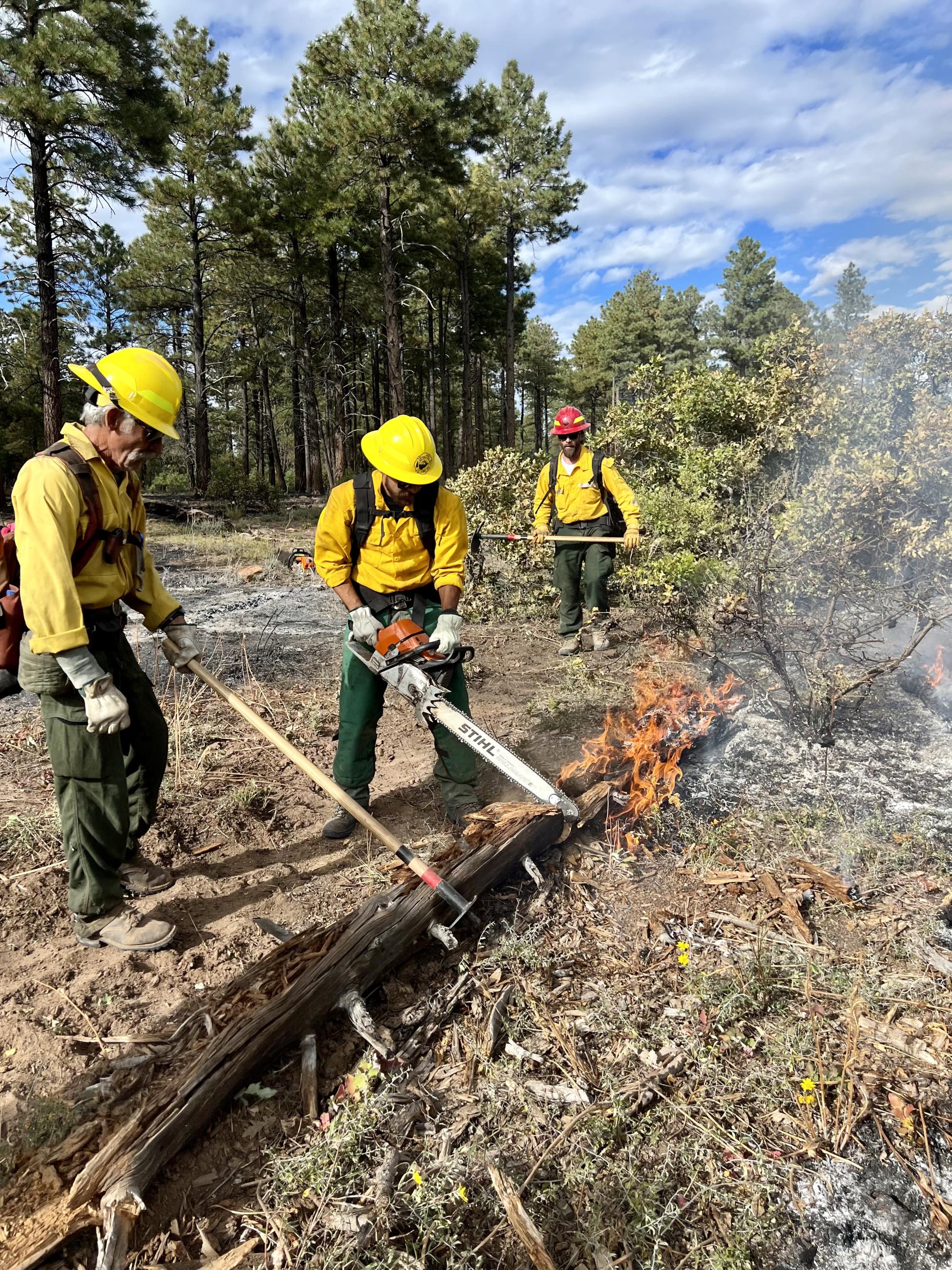 firefighters with chainsaw cutting log