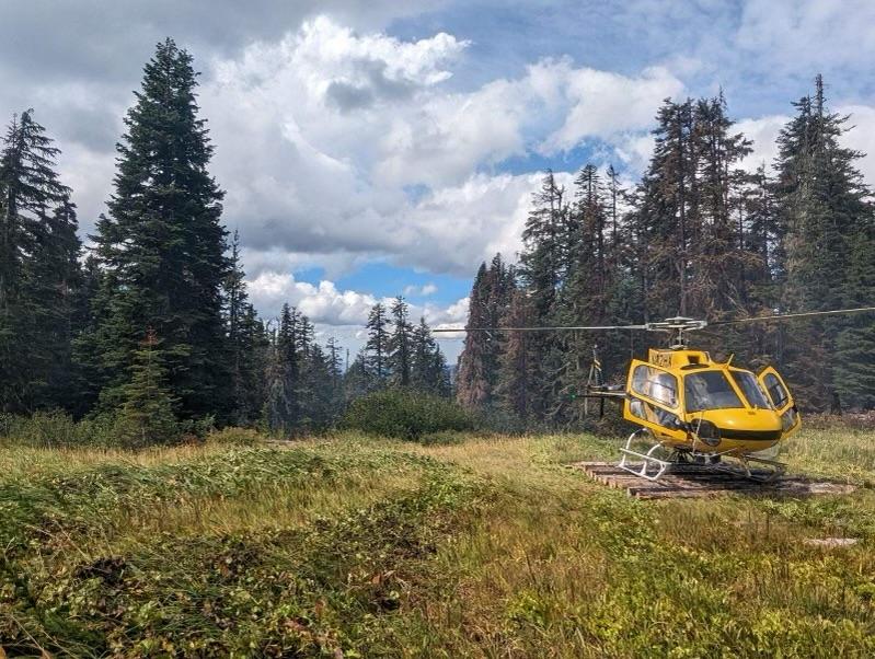 A small yellow helicopter lands in a meadow on top of a log platform