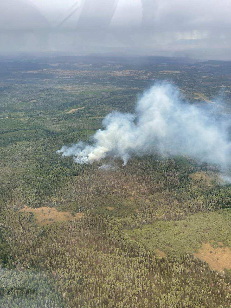 Spring Creek Fire GMUG 09/10/23