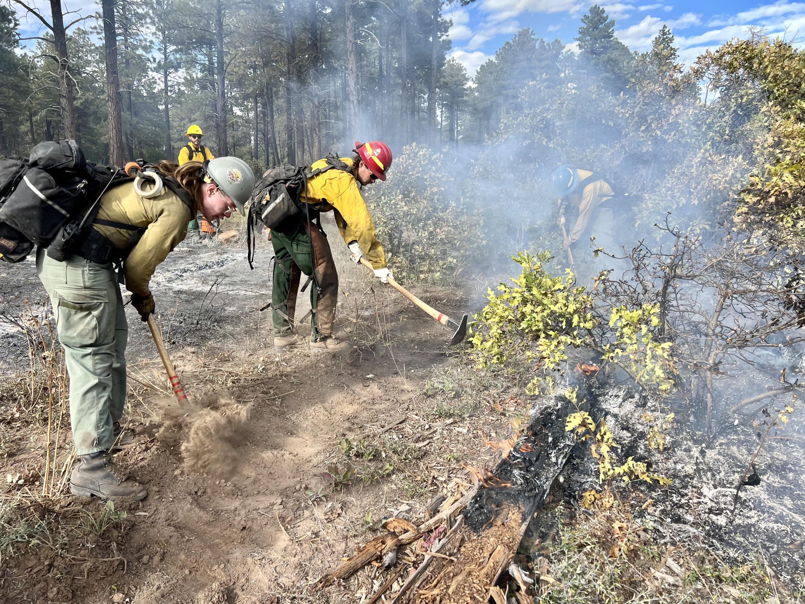 firefighters securing fire line