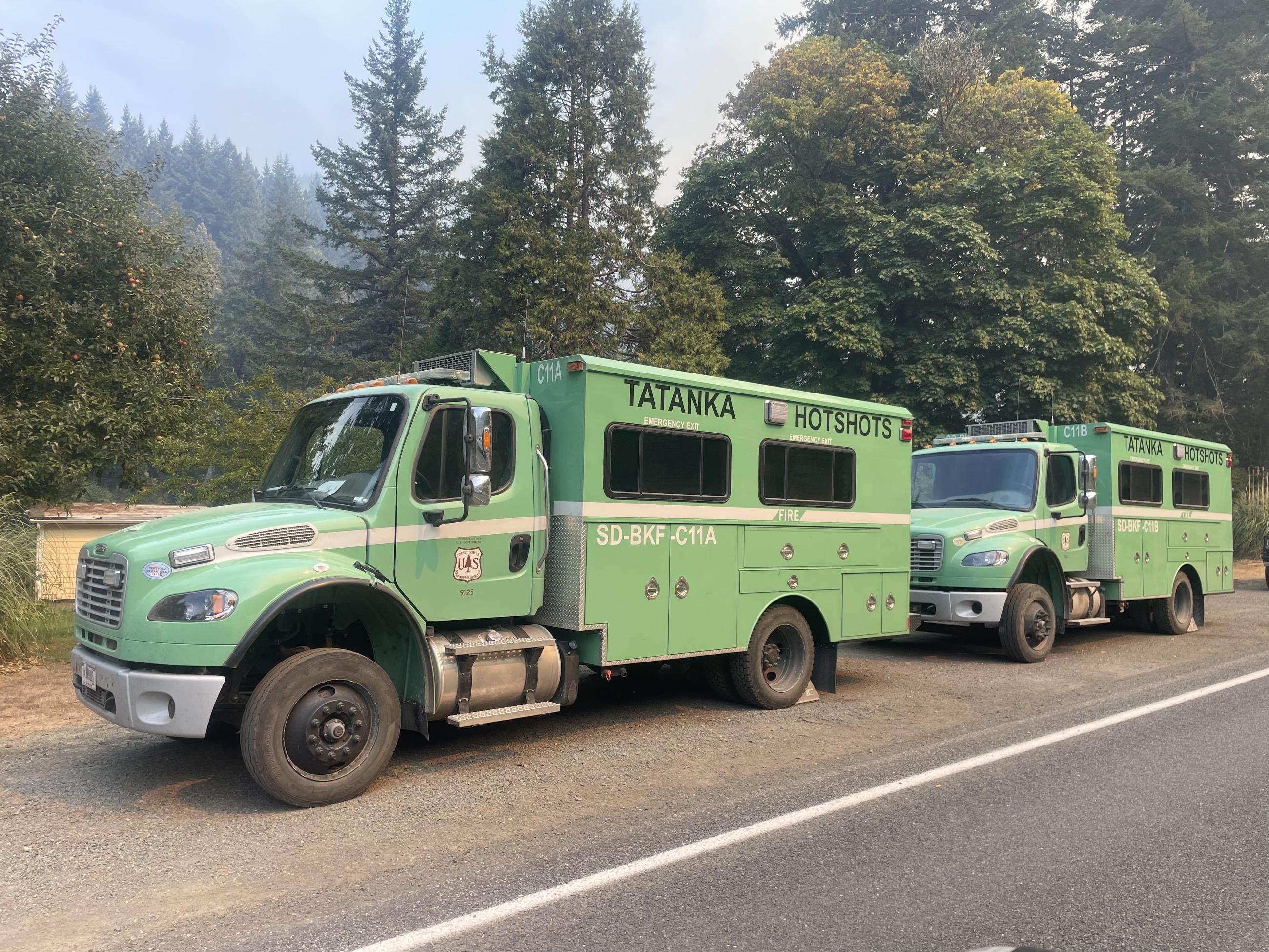 Two green fire trucks